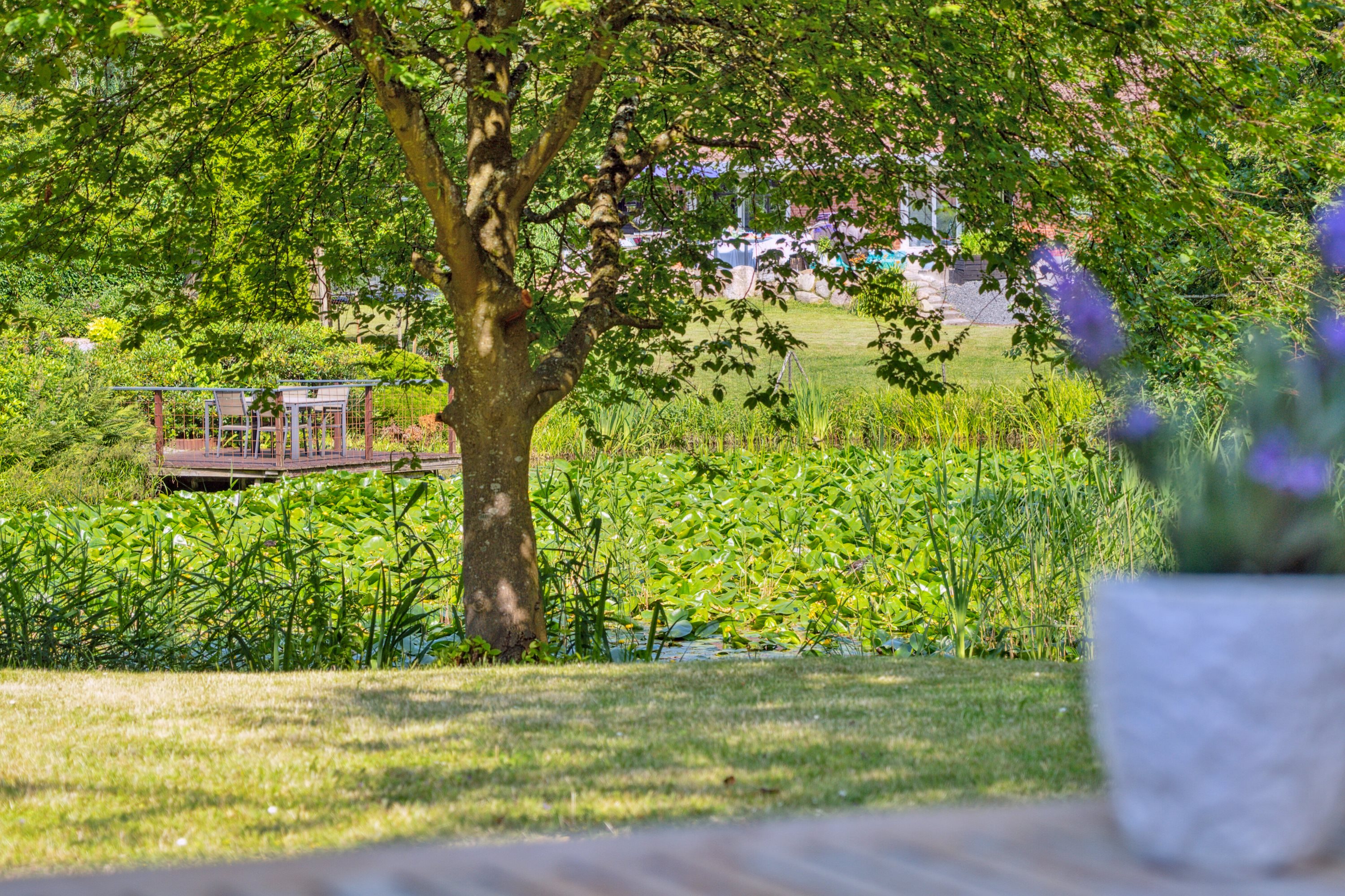 Fremhævet have billede i fuldskærmstilstand. Billede af Teglparken 11, 4200 Slagelse