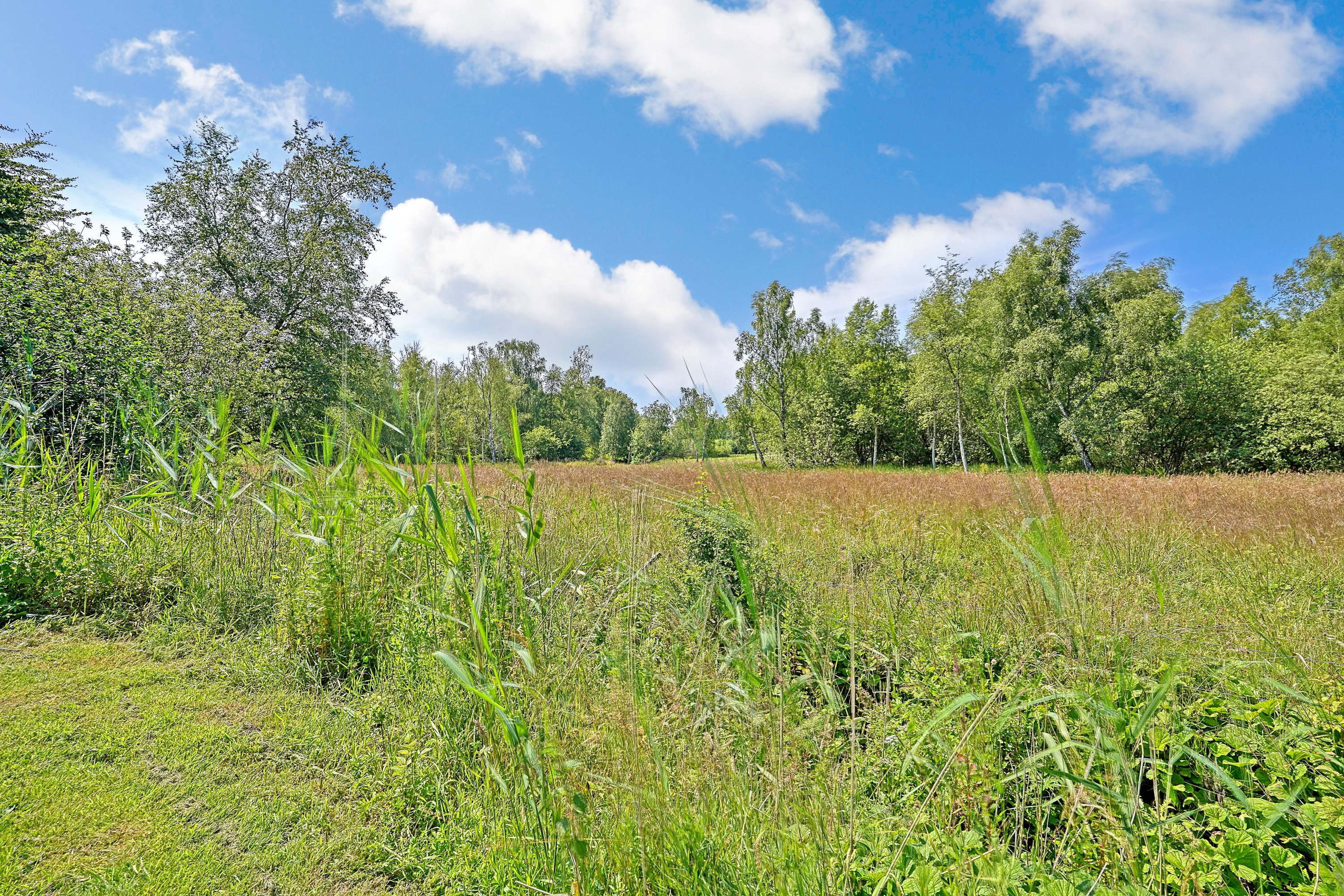 Fremhævet område billede i fuldskærmstilstand. Billede af Ræveskiftet 15, 3100 Hornbæk
