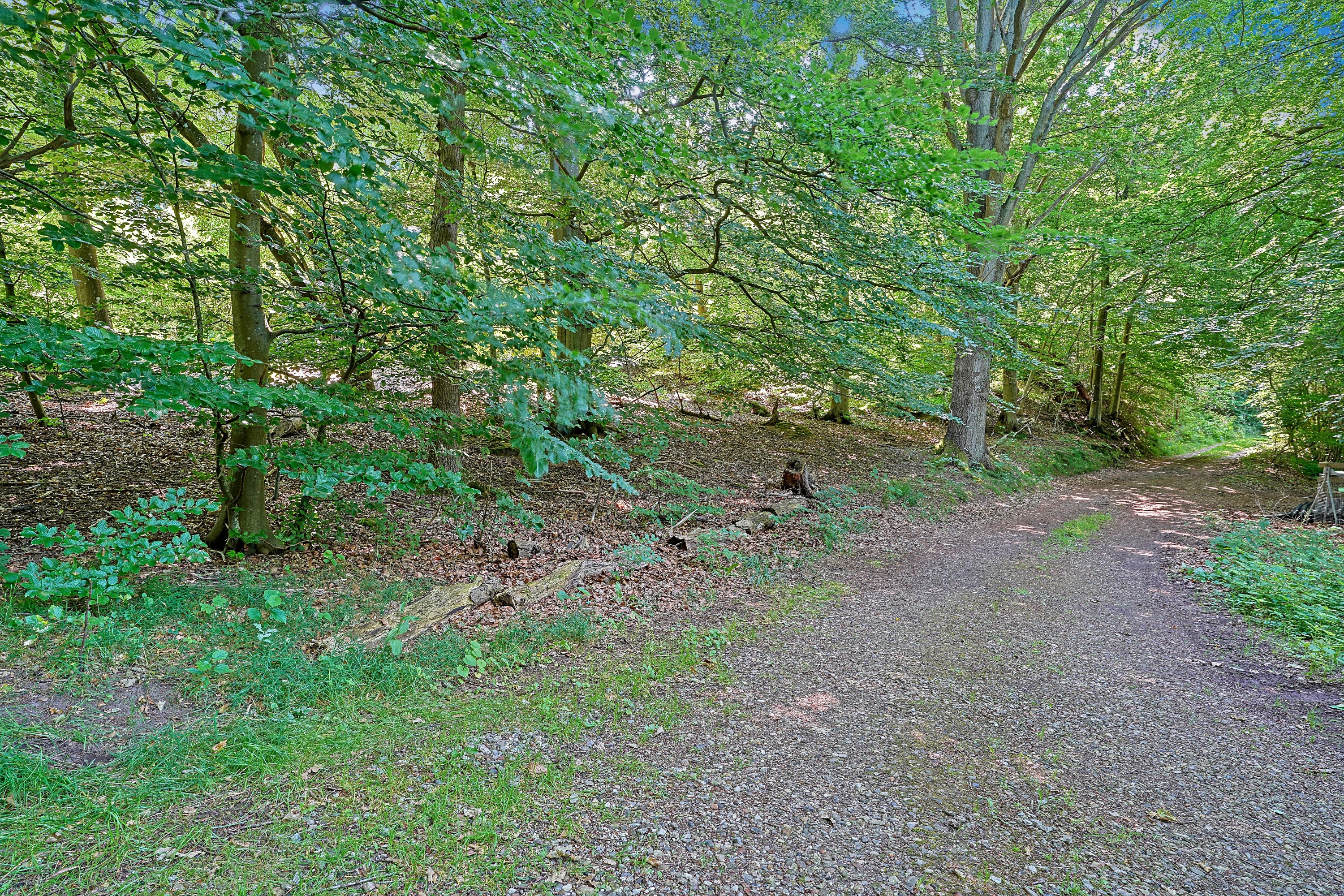 Fremhævet område billede i fuldskærmstilstand. Billede af Ræveskiftet 15, 3100 Hornbæk