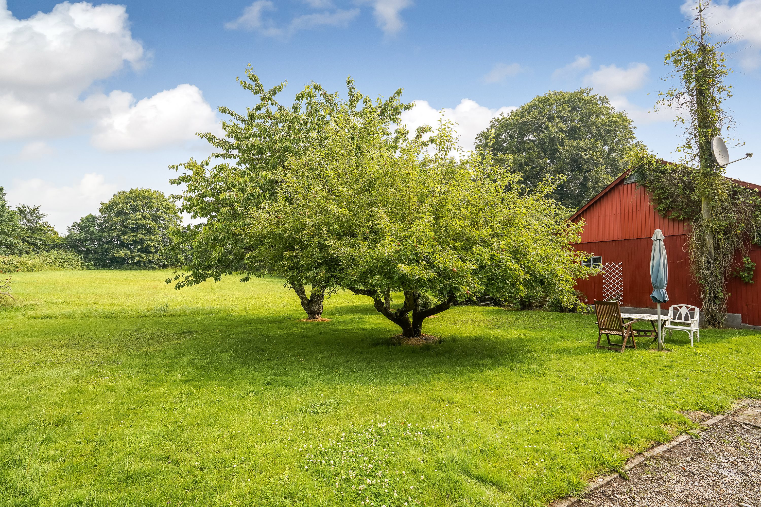 Fremhævet have billede i fuldskærmstilstand. Billede af Præstebuen 12, Sdr Åby, 5592 Ejby