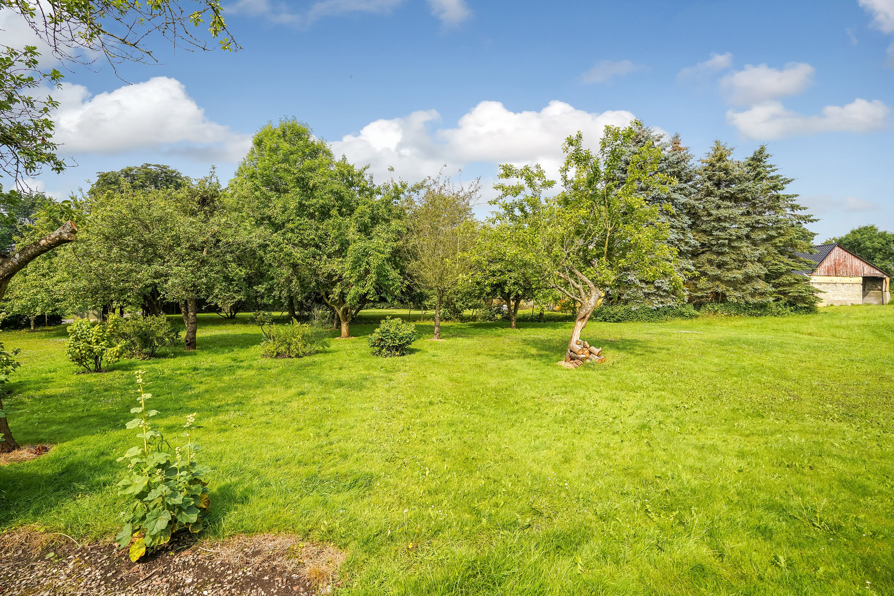 Miniaturebillede 1: have. Billede af Præstebuen 12, Sdr Åby, 5592 Ejby