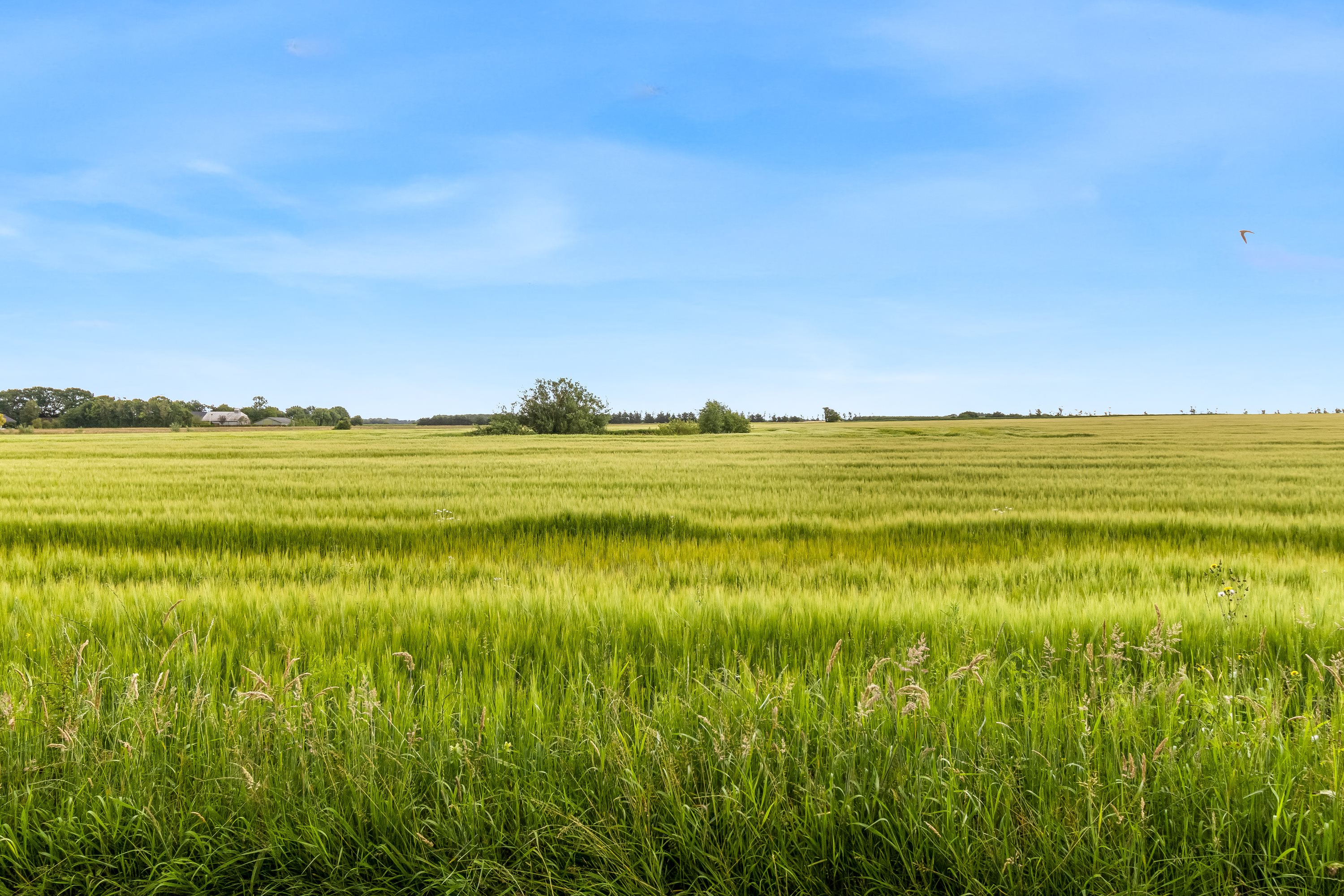 Fremhævet andet billede i fuldskærmstilstand. Billede af Hostrupvej 13A, Jejsing, 6270 Tønder