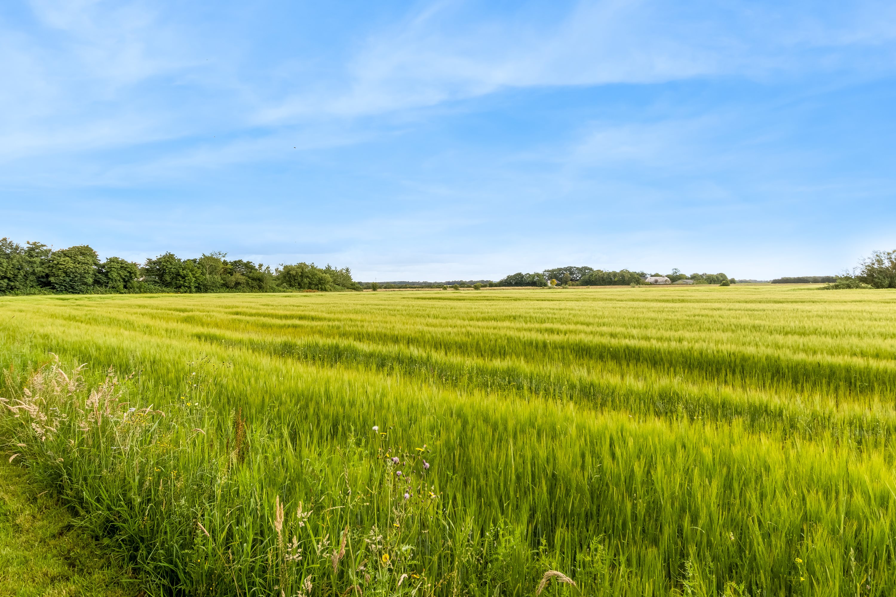 Fremhævet andet billede i fuldskærmstilstand. Billede af Hostrupvej 13A, Jejsing, 6270 Tønder