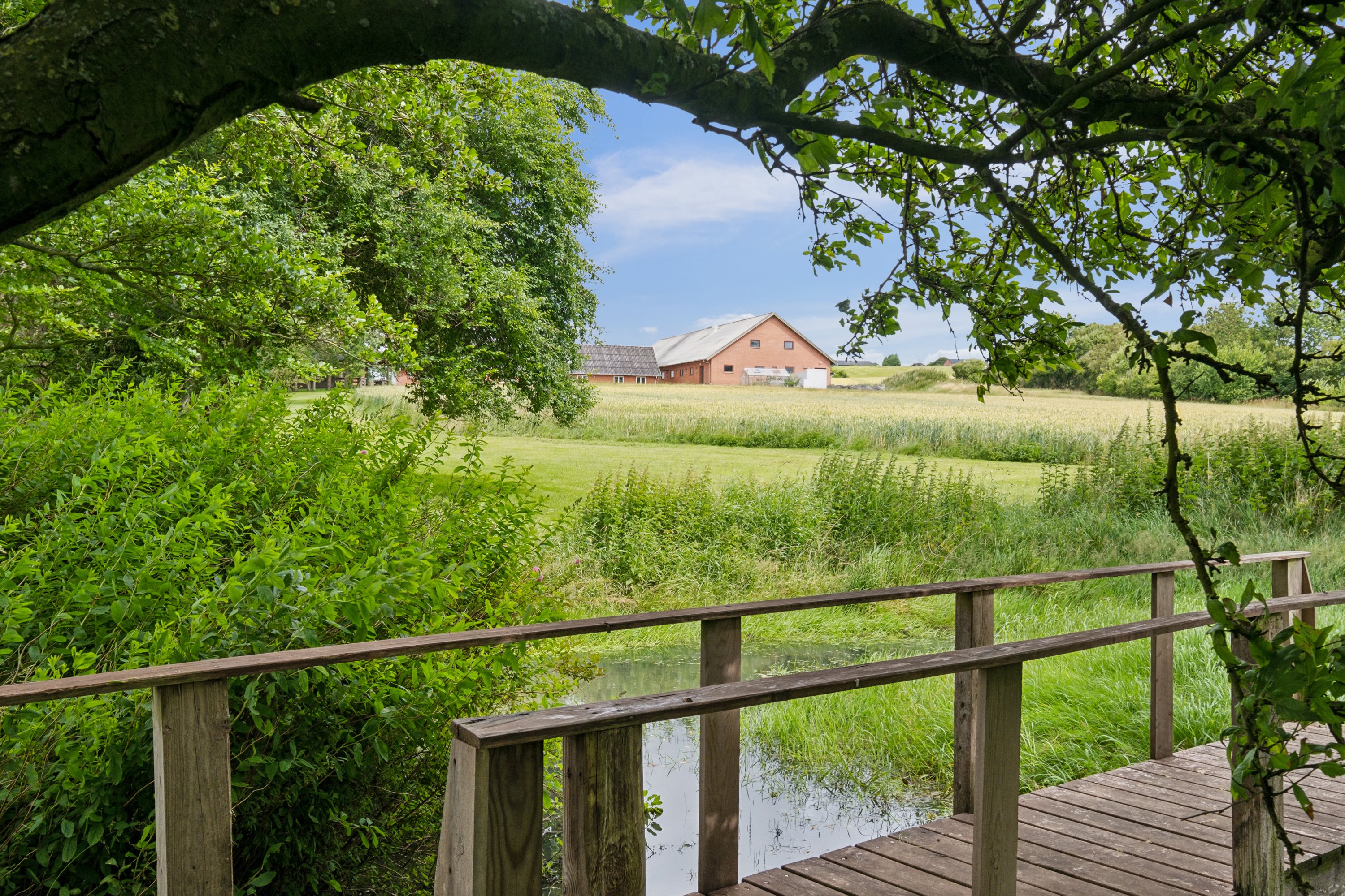 Miniaturebillede 2: udsigt. Billede af Nordmorsvej 49, Bjergby, 7950 Erslev