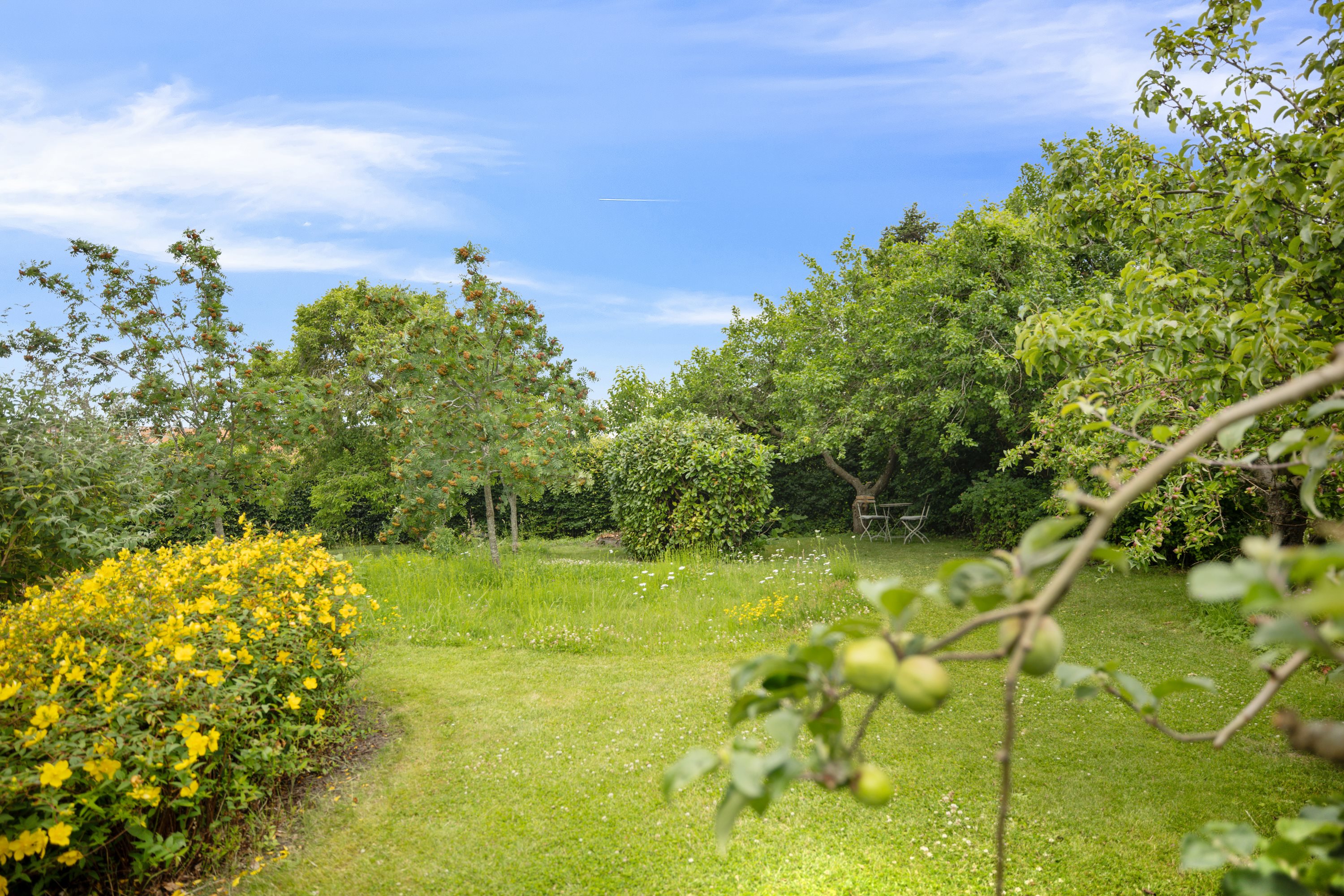 Fremhævet have billede i fuldskærmstilstand. Billede af Odensevej 41, 5600 Faaborg