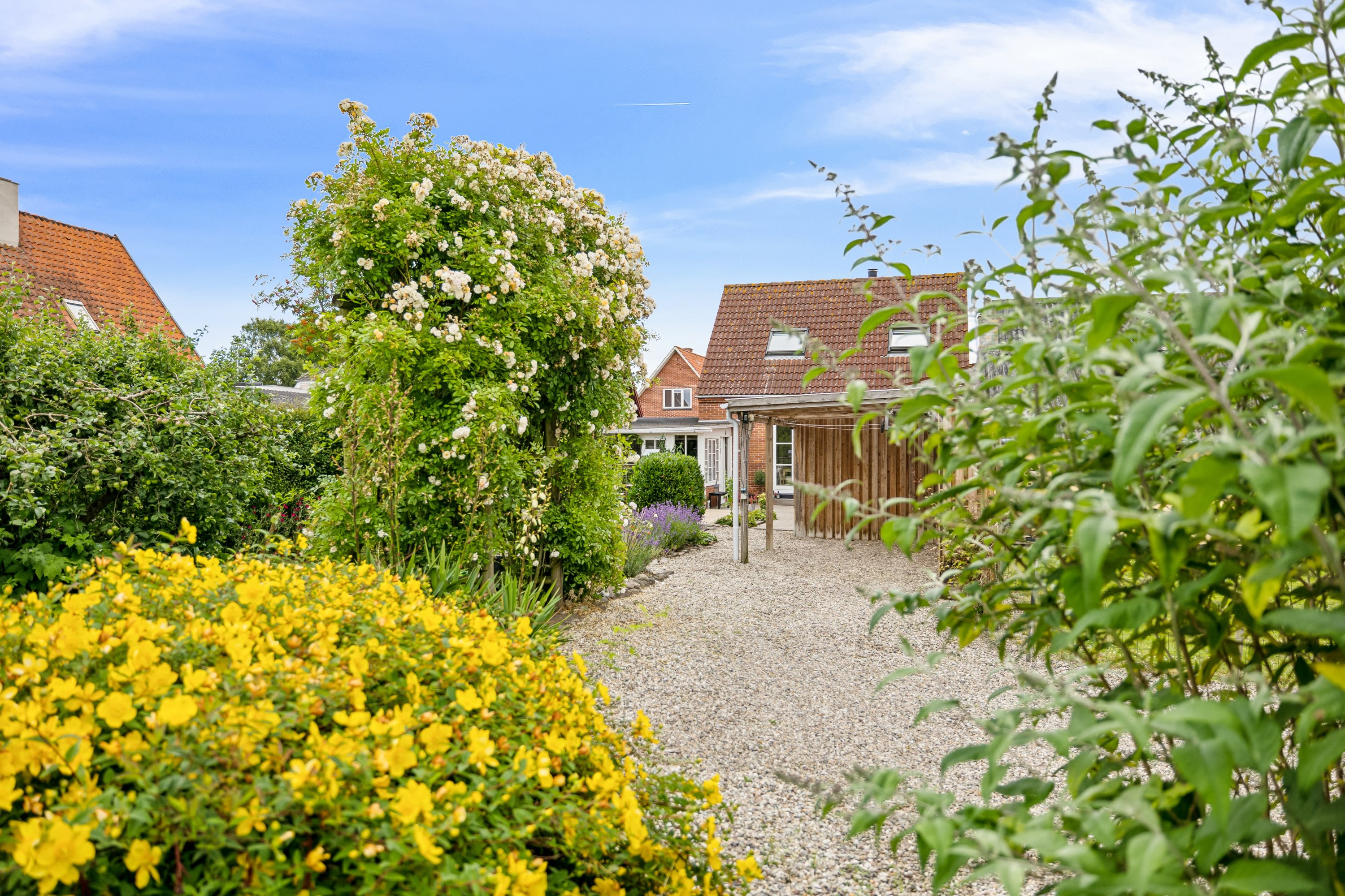 Fremhævet have billede i fuldskærmstilstand. Billede af Odensevej 41, 5600 Faaborg