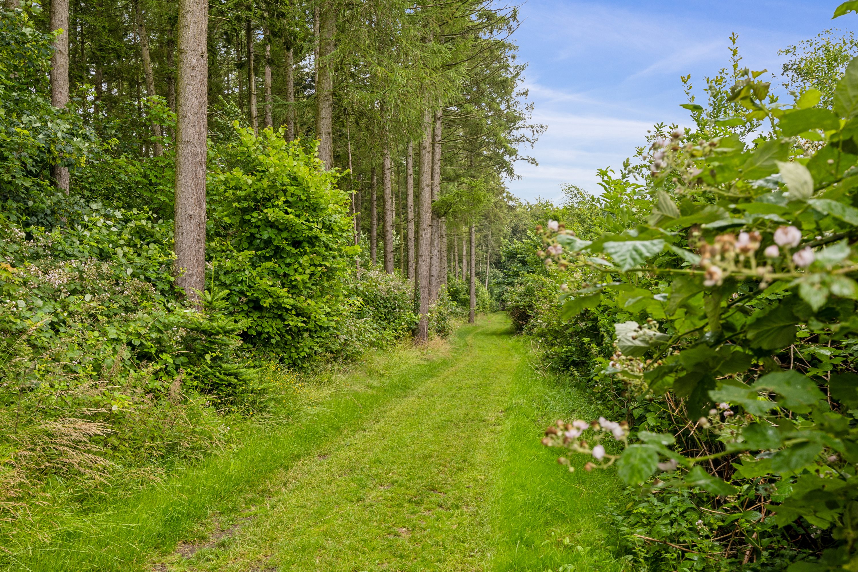 Fremhævet have billede i fuldskærmstilstand. Billede af Boestoftevej 73, Boestofte, 4660 Store Heddinge