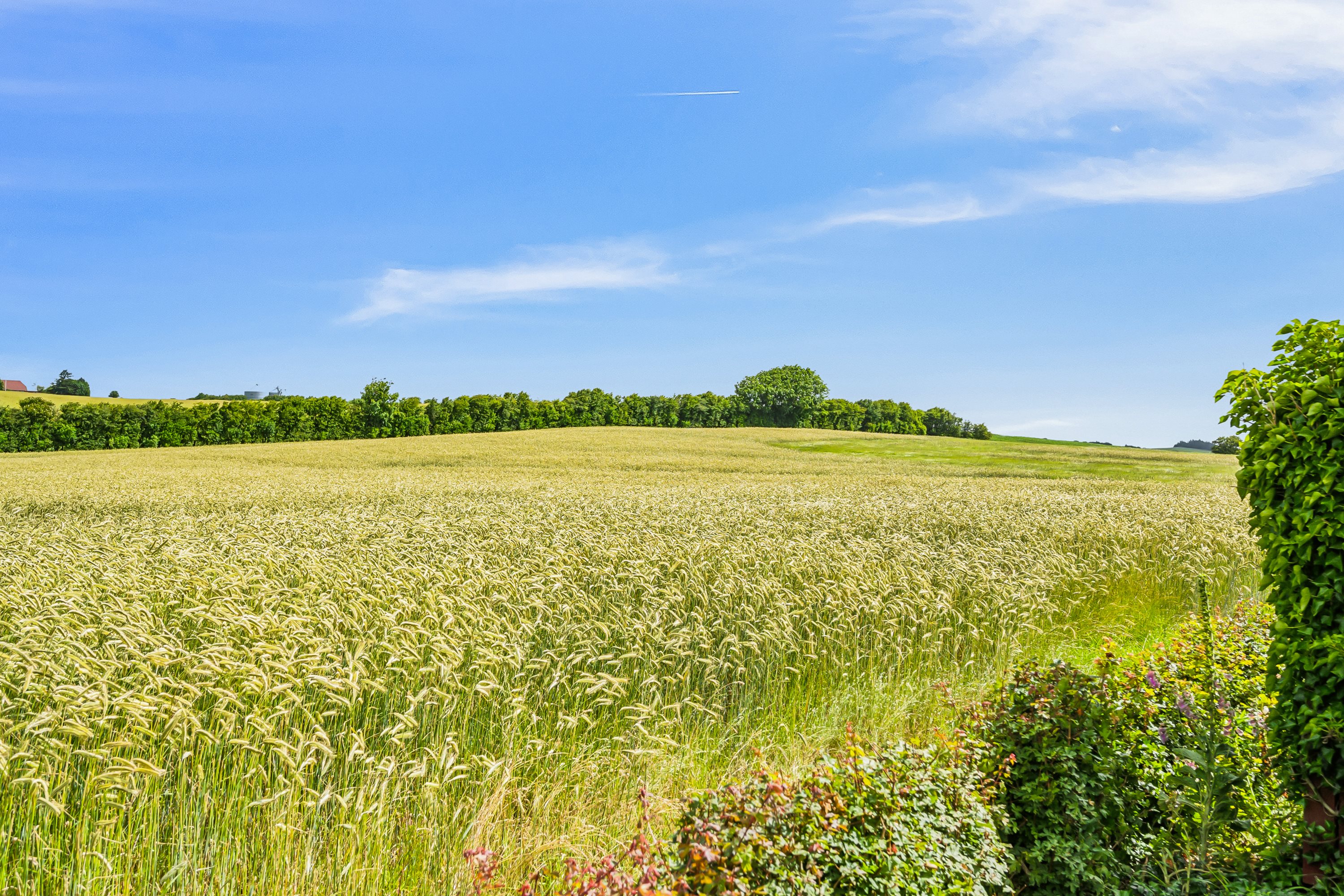 Fremhævet omgivelser billede i fuldskærmstilstand. Billede af Fårtoftvej 4, Solbjerg, 7950 Erslev