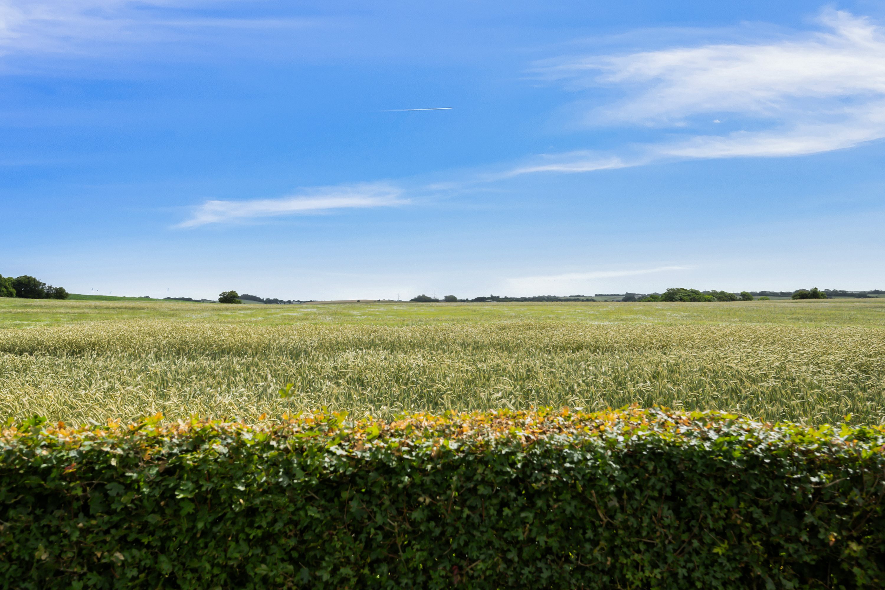 Fremhævet omgivelser billede i fuldskærmstilstand. Billede af Fårtoftvej 4, Solbjerg, 7950 Erslev