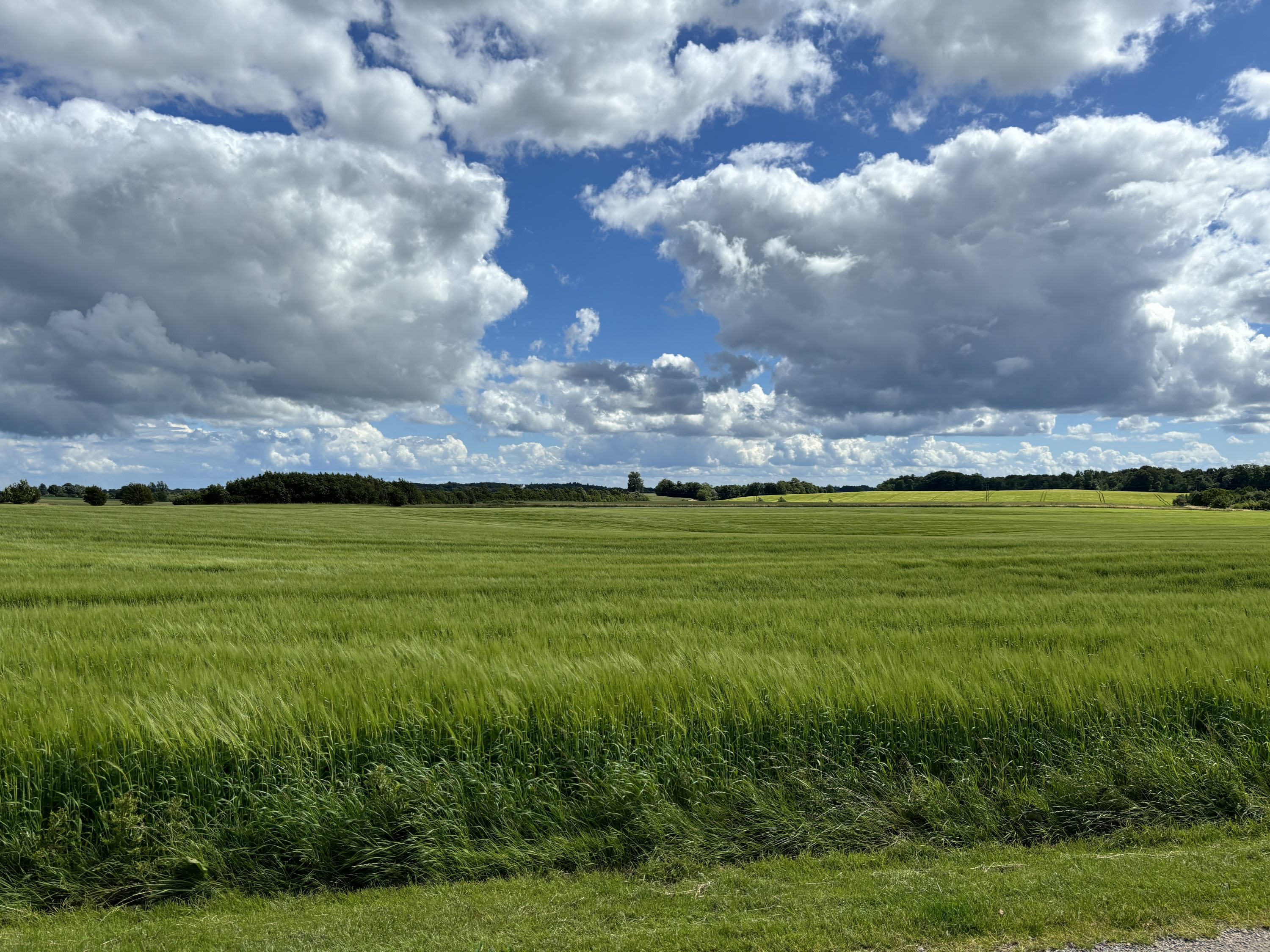Fremhævet  billede i fuldskærmstilstand. Billede af Mosbjergvej 5, Gangsted, 8732 Hovedgård