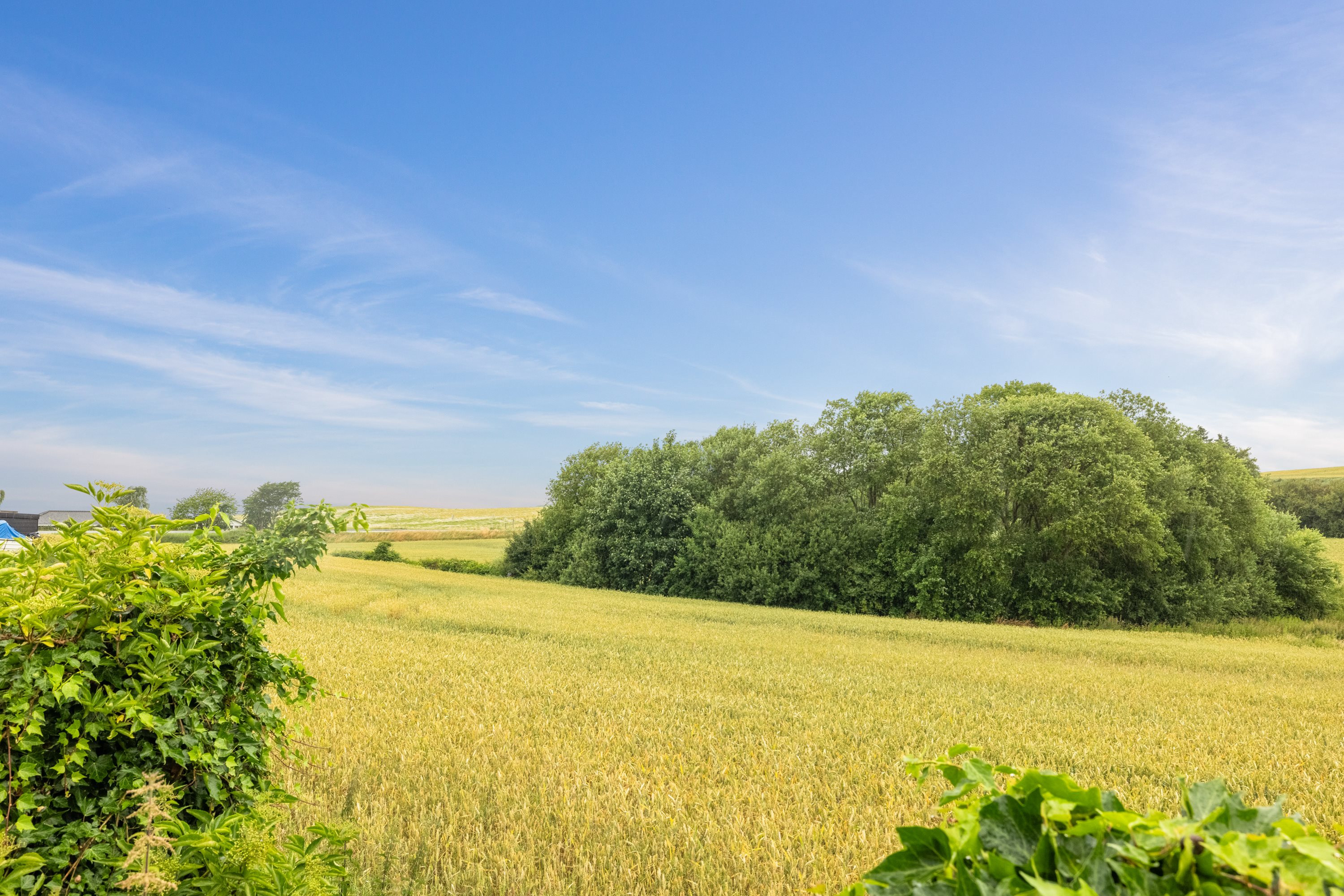 Fremhævet have billede i fuldskærmstilstand. Billede af Skovgårdevej 9, Vrinners, 8420 Knebel