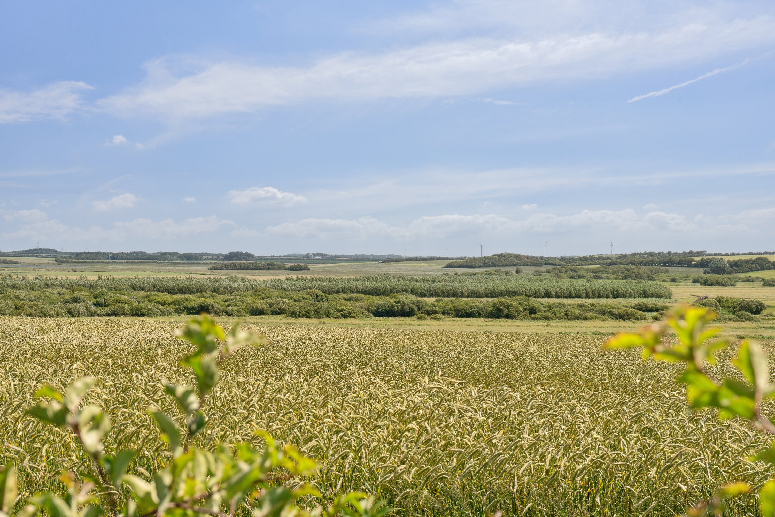 Fremhævet  billede i fuldskærmstilstand. Billede af Fruegårdsvej 7, Svankjær, 7755 Bedsted Thy