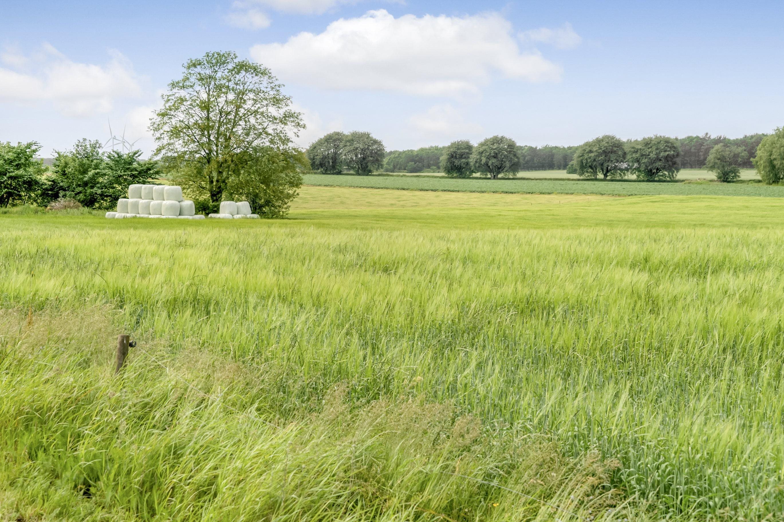 Fremhævet  billede i fuldskærmstilstand. Billede af Koustedvej 34, Asferg, 8990 Fårup
