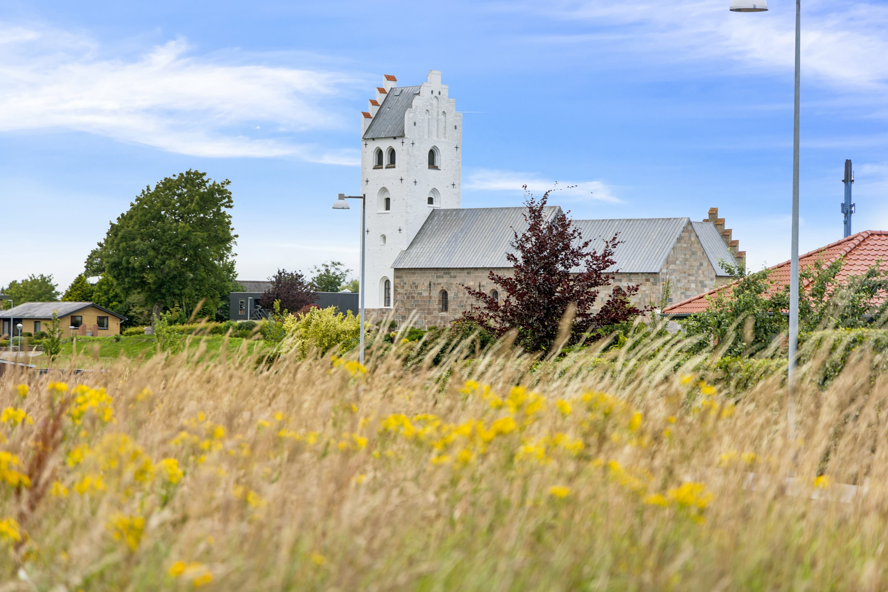 Fremhævet have billede i fuldskærmstilstand. Billede af Nåleøjet 35, Vester Hassing, 9310 Vodskov