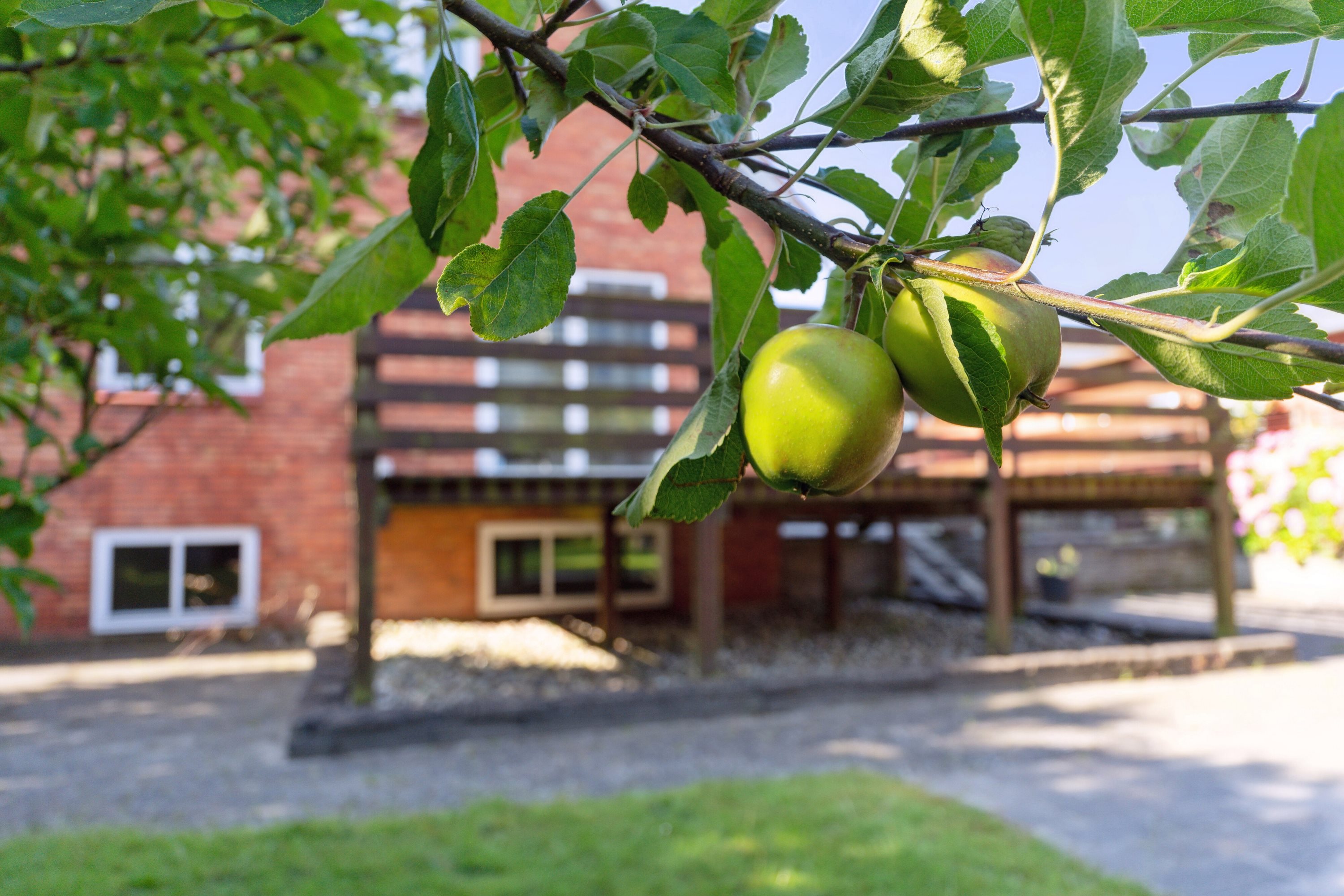 Fremhævet udendørs billede i fuldskærmstilstand. Billede af Skovmærkevej 12, 5220 Odense SØ
