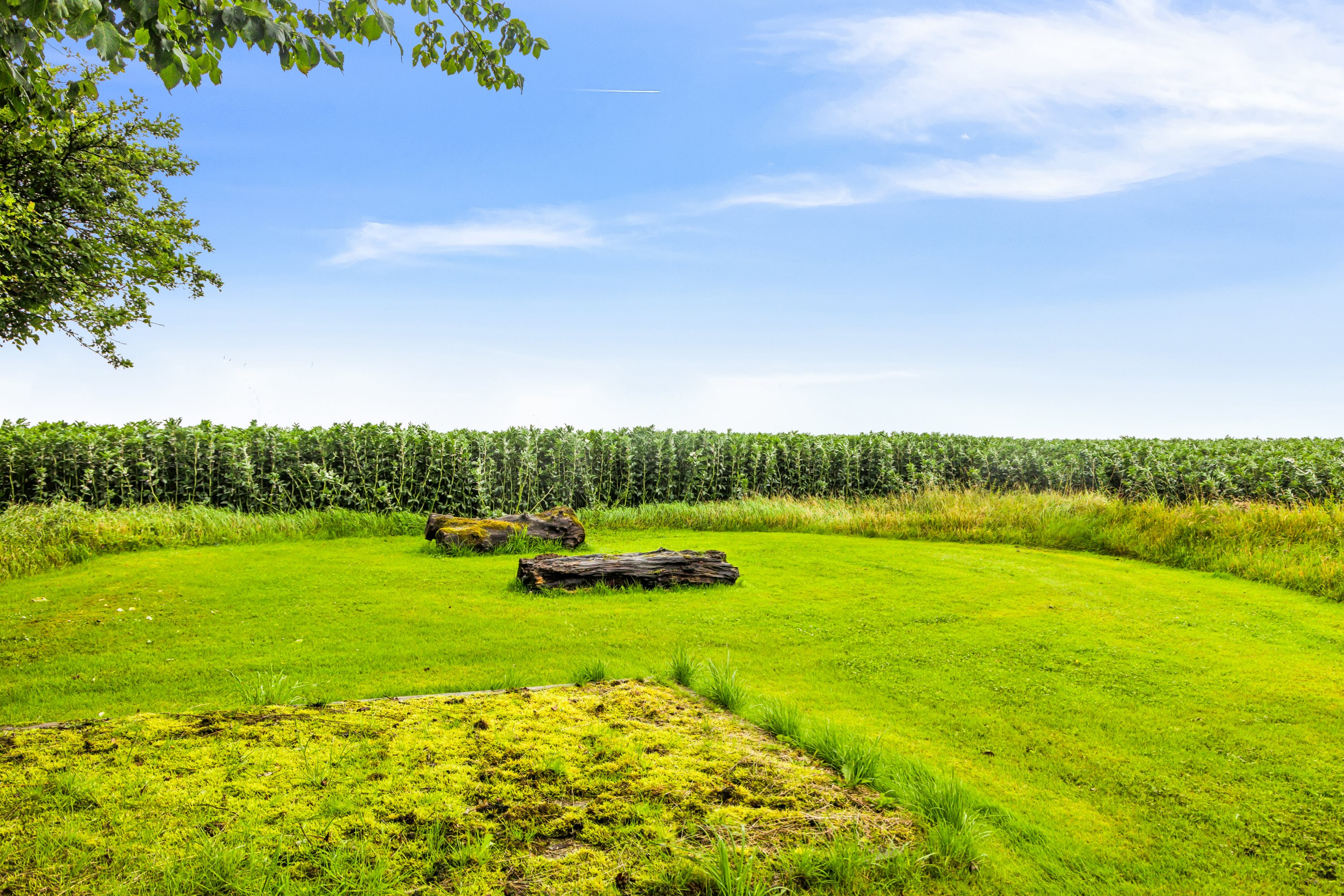 Fremhævet omgivelser billede i fuldskærmstilstand. Billede af Nordmorsvej 54, Solbjerg, 7950 Erslev