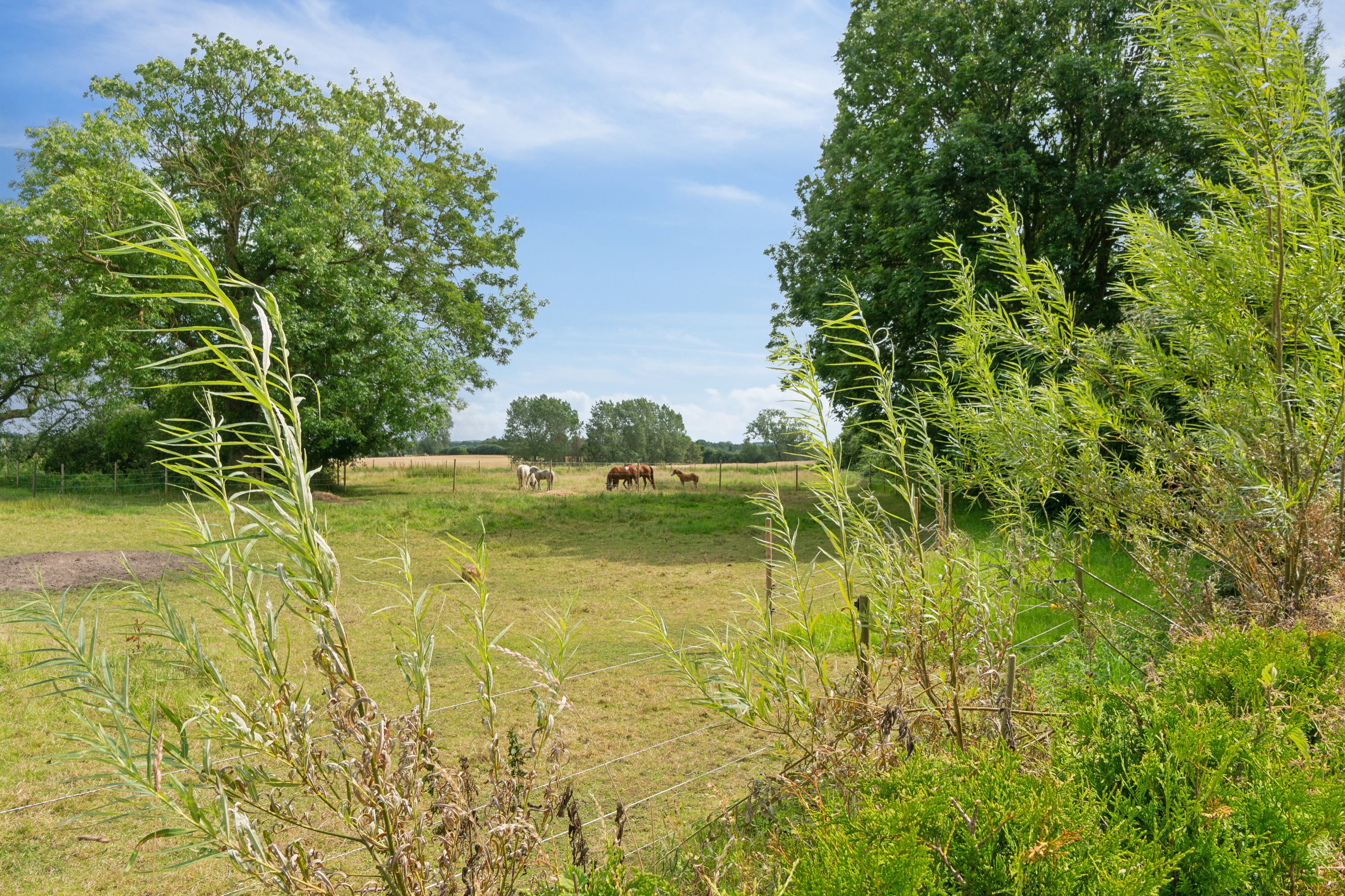 Fremhævet udendørs billede i fuldskærmstilstand. Billede af Jyderupvej 7, Jyderup, 4640 Faxe
