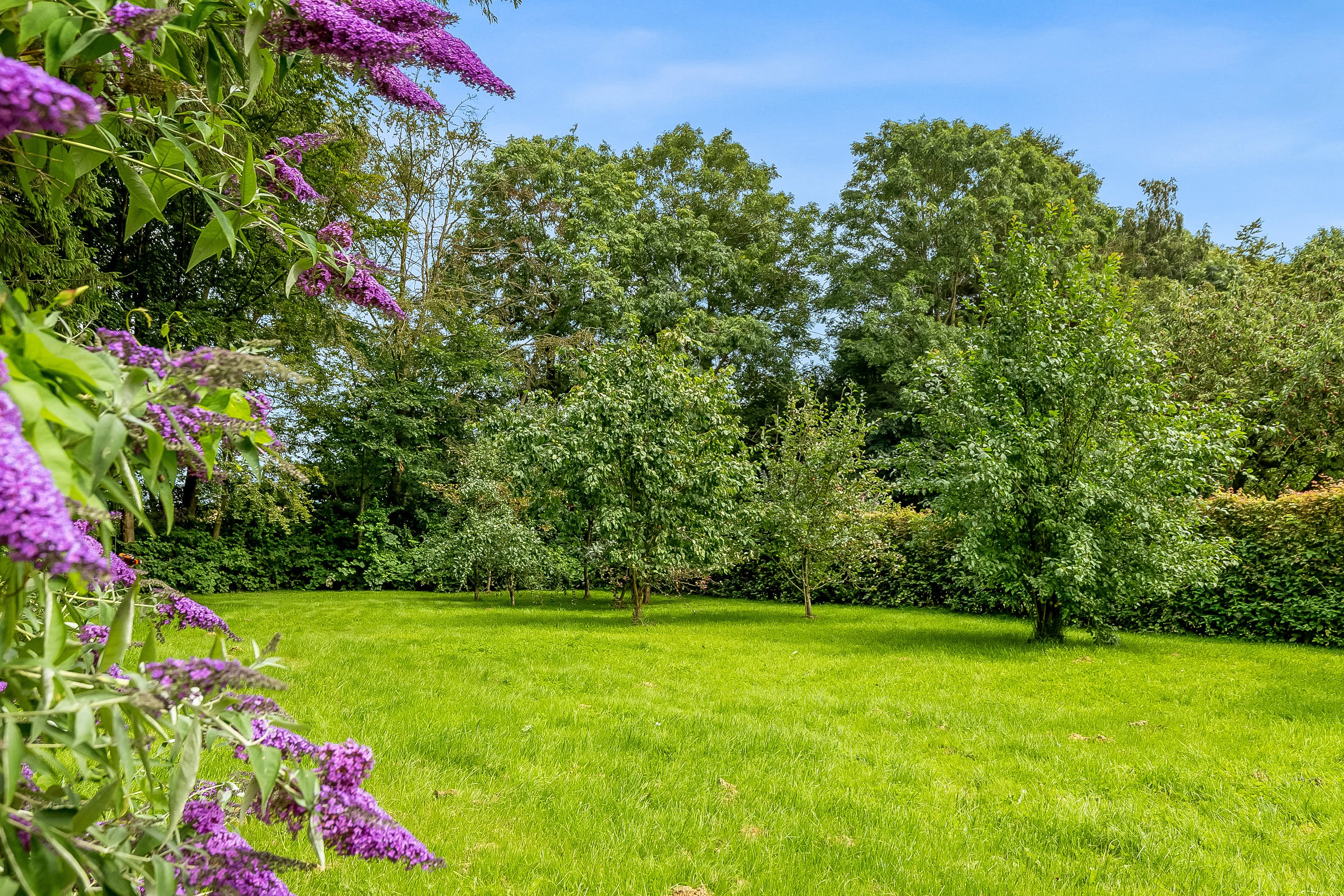 Fremhævet have billede i fuldskærmstilstand. Billede af Vellingvej 75, St. Velling, 7000 Fredericia