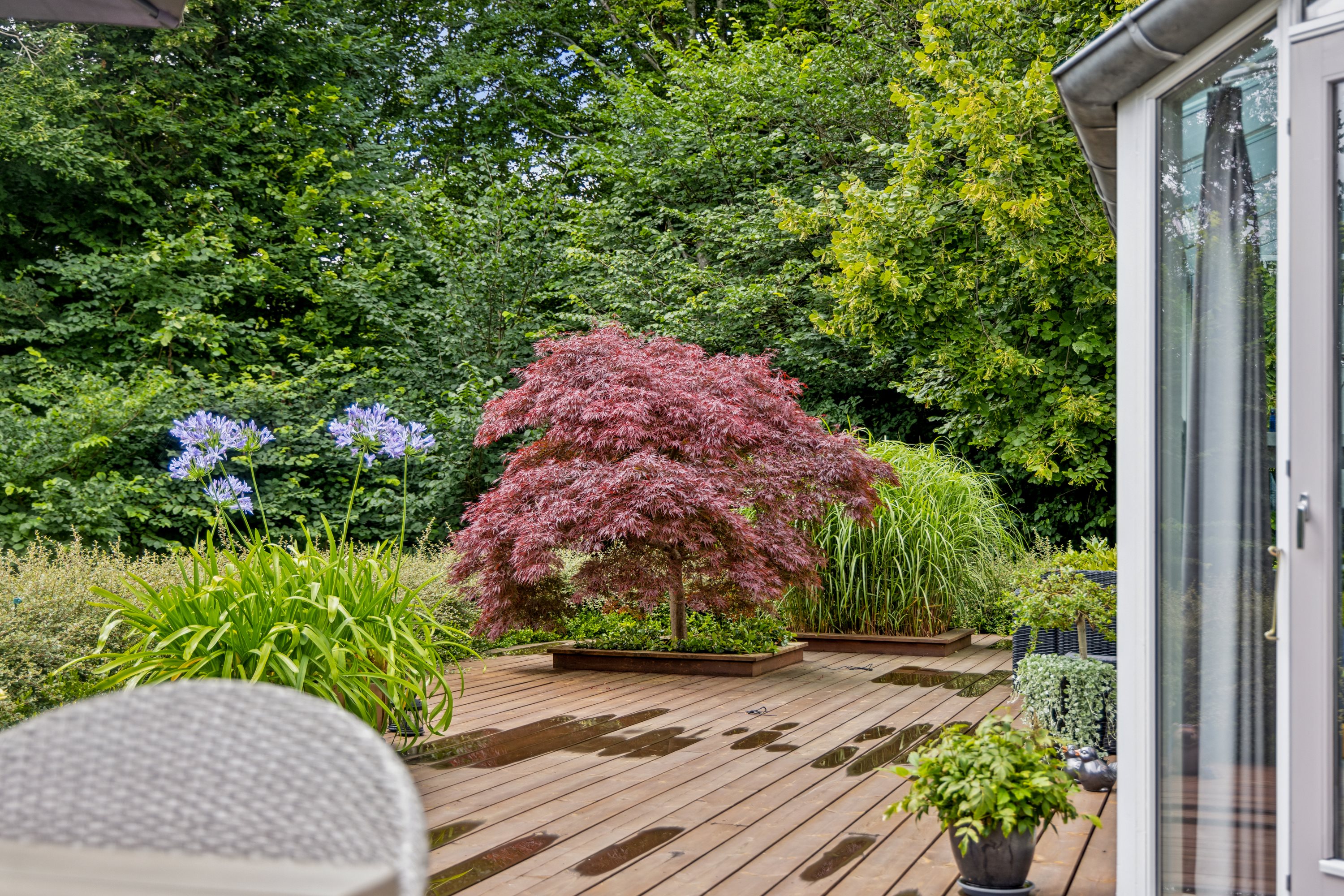 Fremhævet have billede i fuldskærmstilstand. Billede af Halsvej 170, Stae, 9310 Vodskov