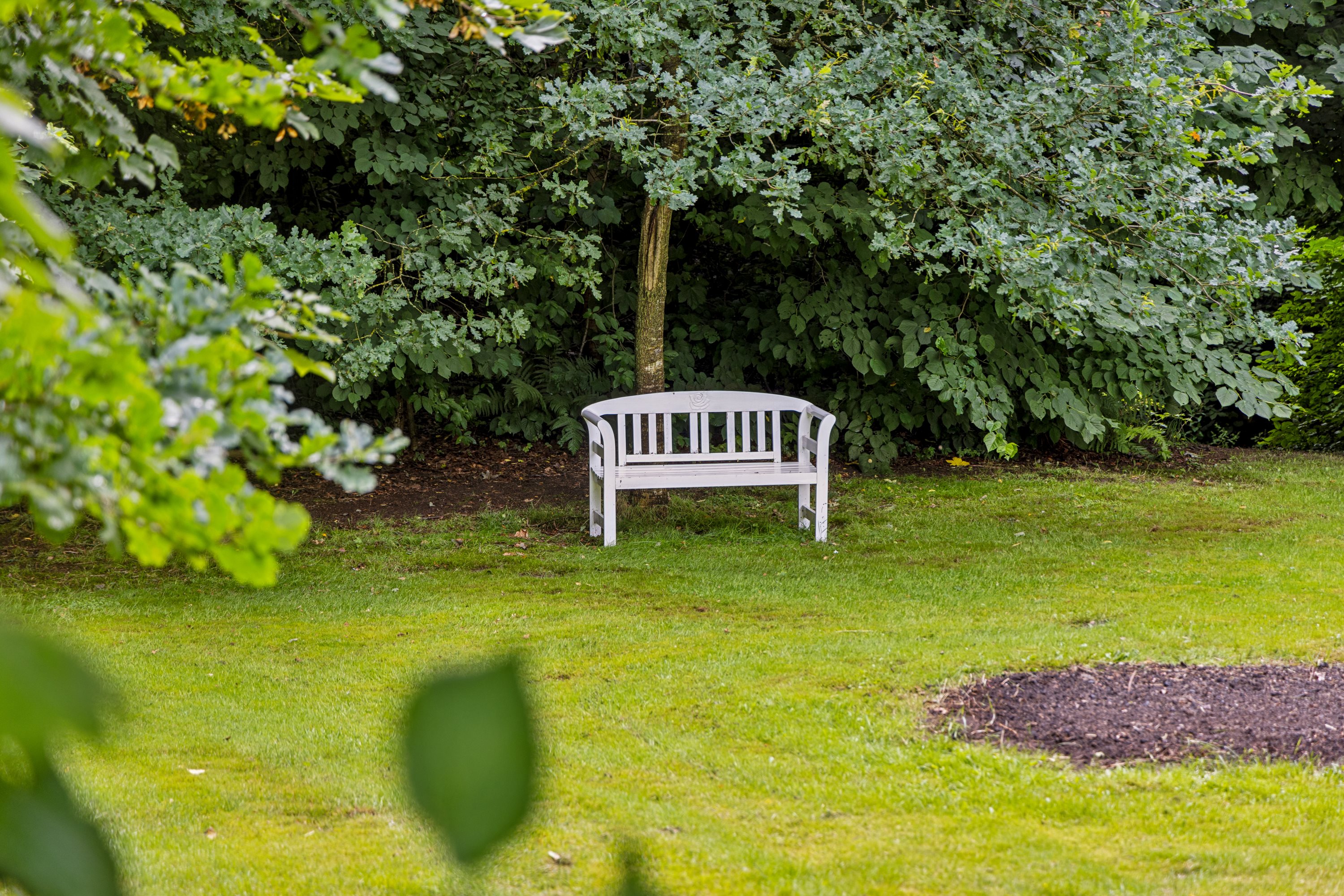 Fremhævet have billede i fuldskærmstilstand. Billede af Halsvej 170, Stae, 9310 Vodskov