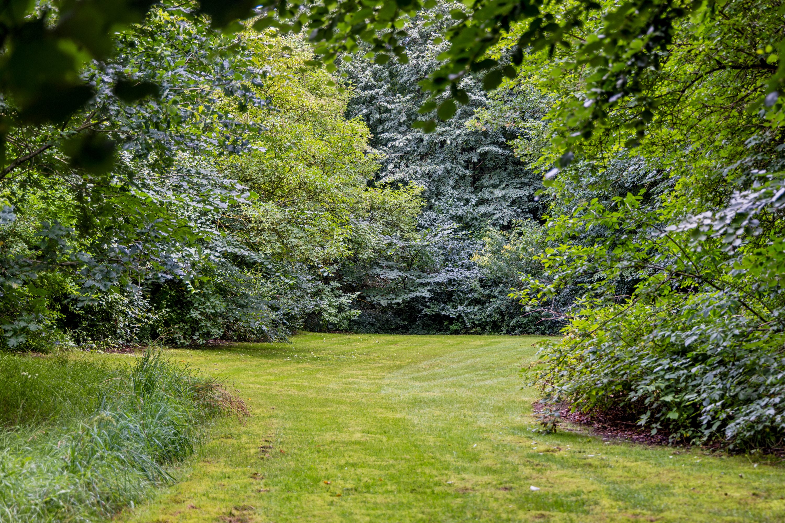 Fremhævet have billede i fuldskærmstilstand. Billede af Halsvej 170, Stae, 9310 Vodskov