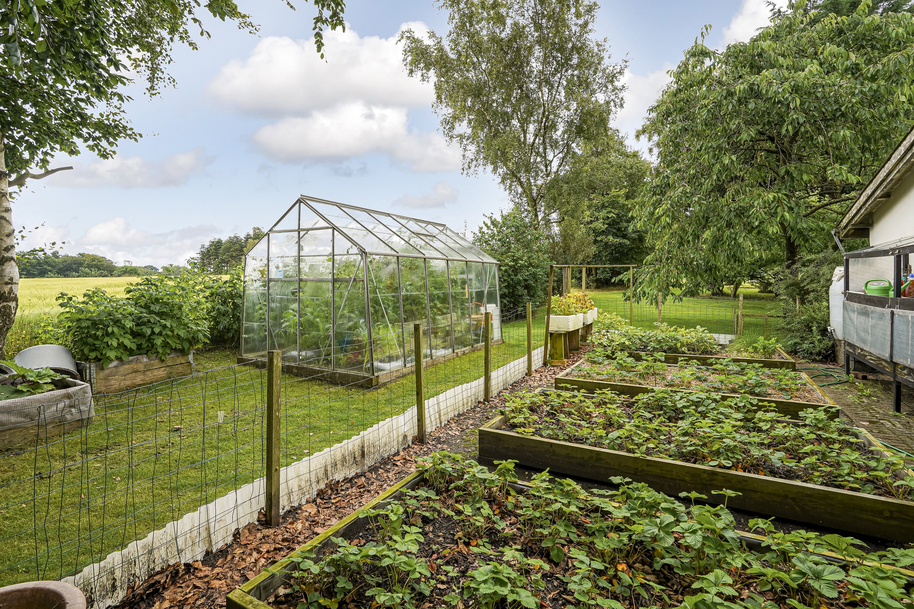 Fremhævet have billede i fuldskærmstilstand. Billede af Klintholmvej 14, Vejlbyskov, 5500 Middelfart