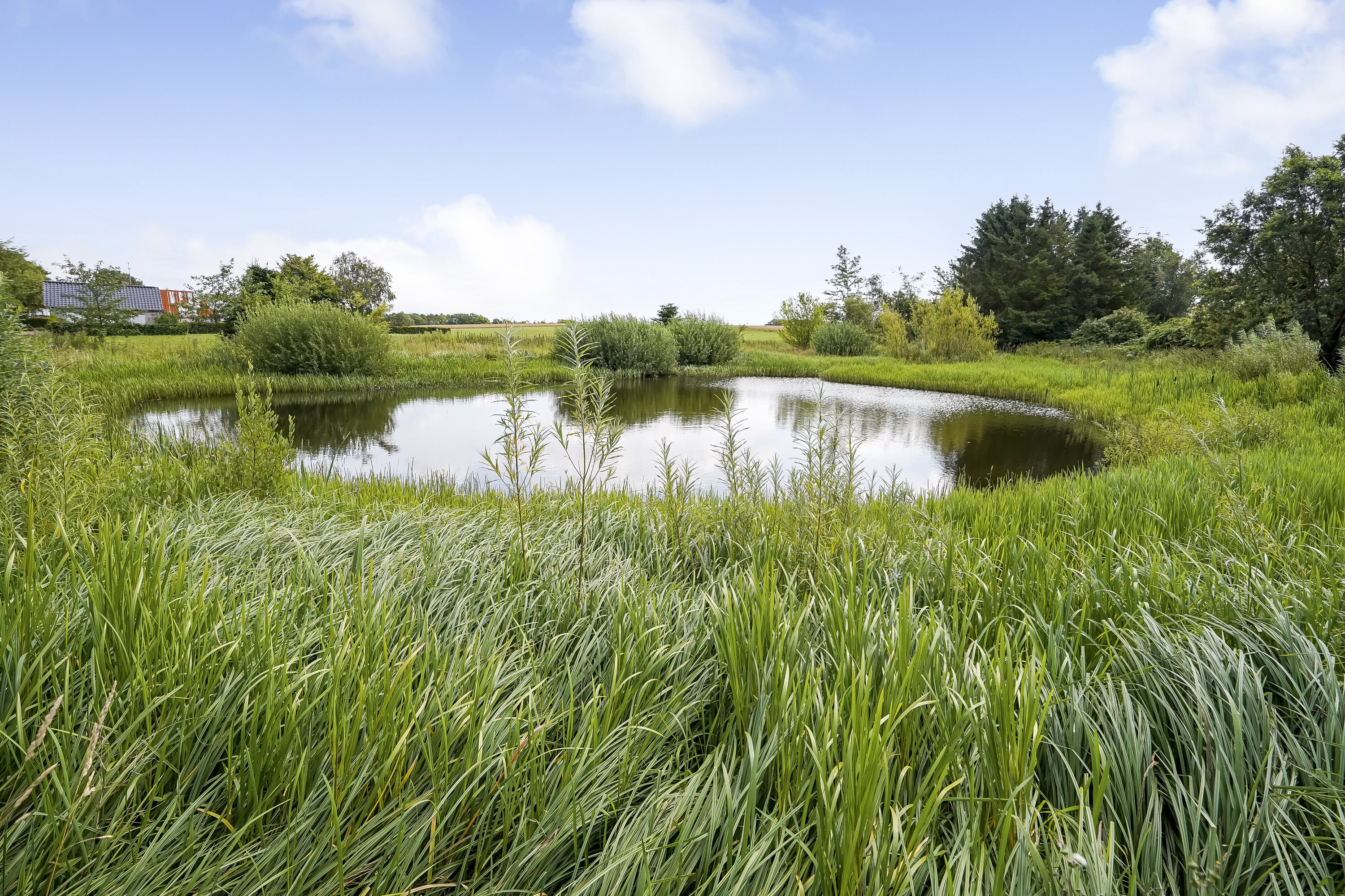 Fremhævet have billede i fuldskærmstilstand. Billede af Ildvedvej 57, Ildved, 7300 Jelling