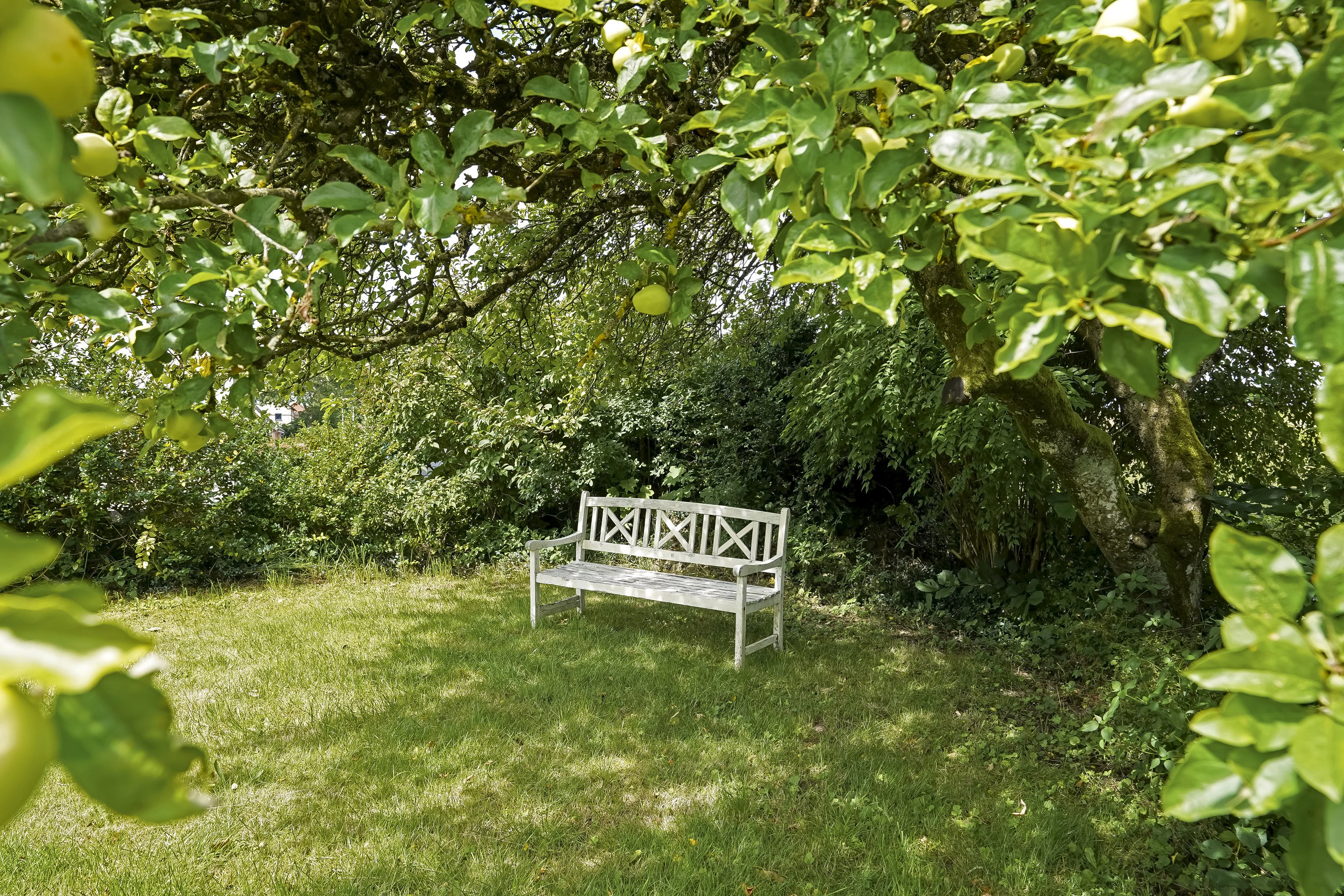 Fremhævet have billede i fuldskærmstilstand. Billede af Ildvedvej 57, Ildved, 7300 Jelling