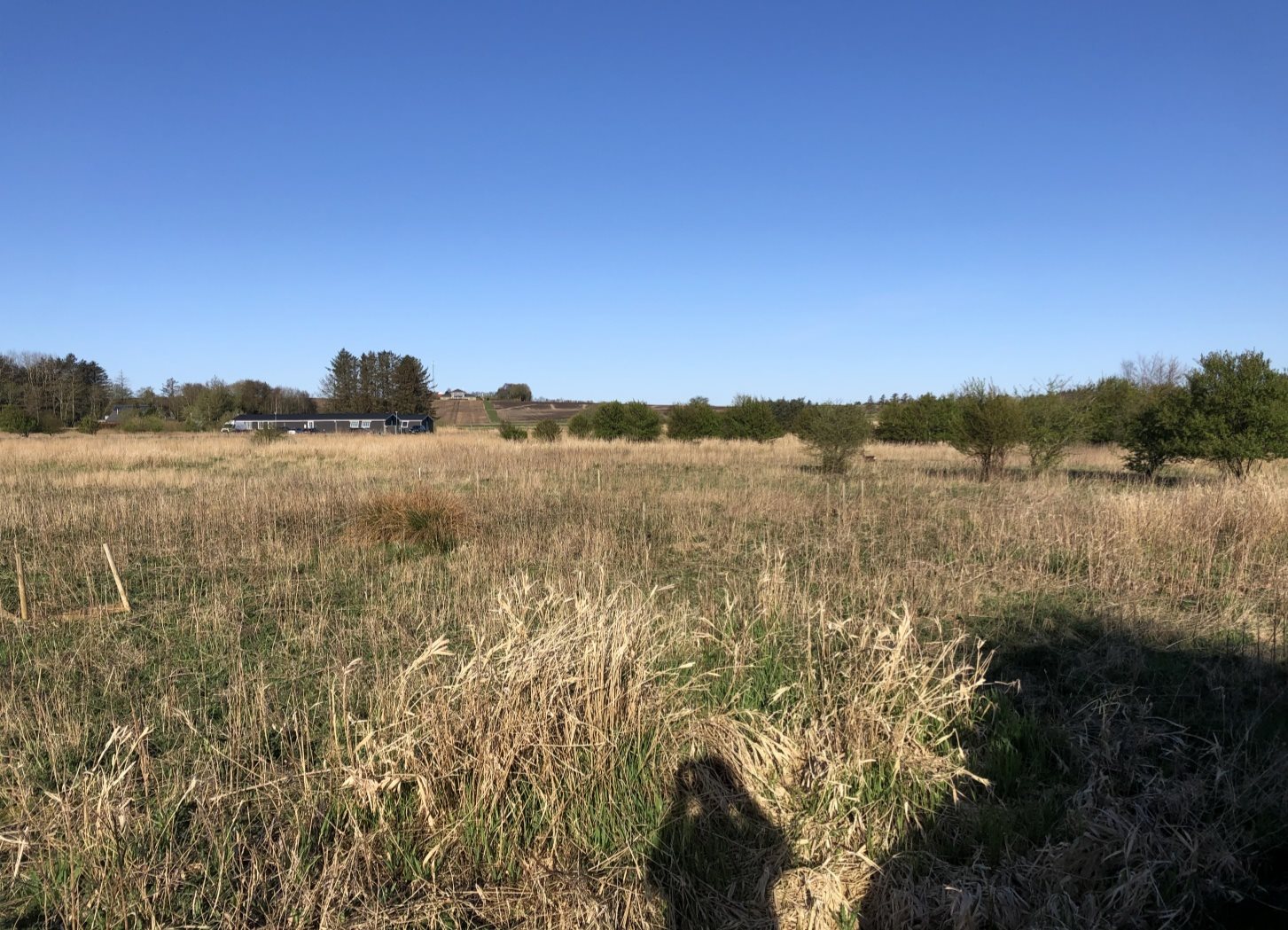 Miniaturebillede 1: . Billede af B. Nielsens Vej 11, Sillerslev, 7990 Øster Assels