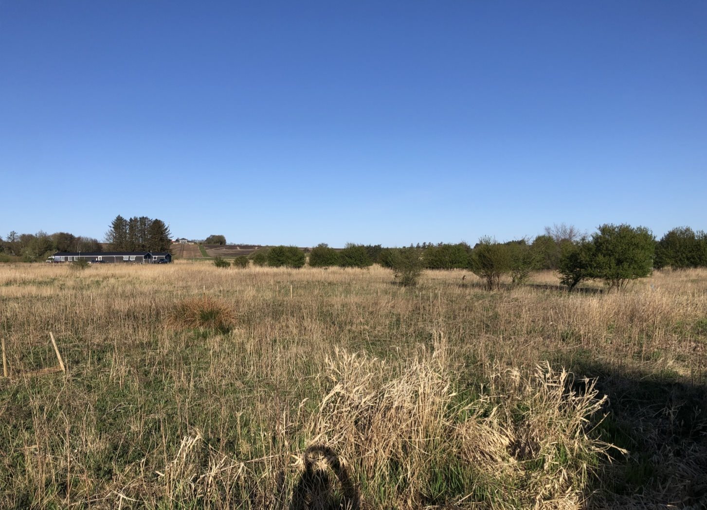 Miniaturebillede 2: . Billede af B. Nielsens Vej 11, Sillerslev, 7990 Øster Assels