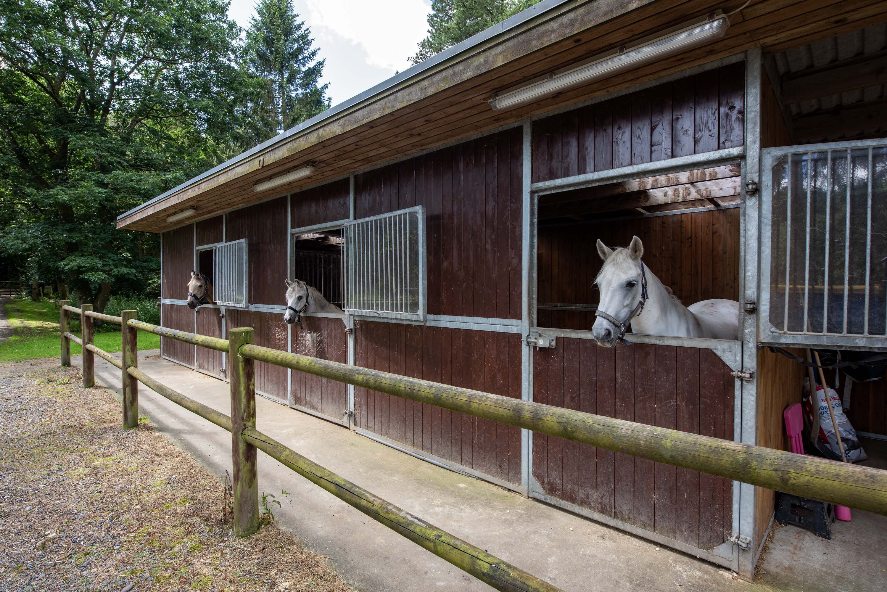 Fremhævet  billede i fuldskærmstilstand. Billede af Vejlevej 17, 8800 Viborg