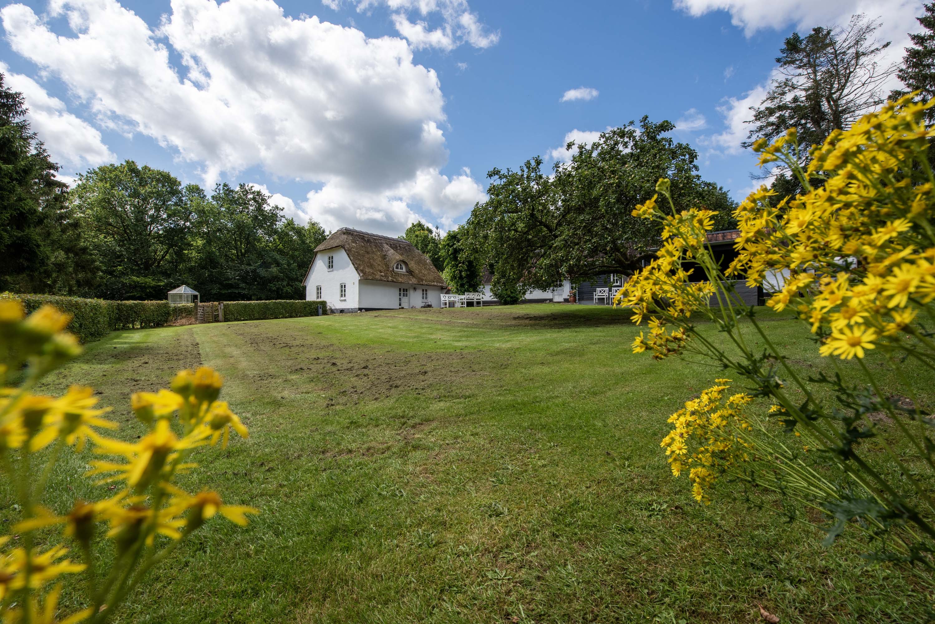 Fremhævet  billede i fuldskærmstilstand. Billede af Vejlevej 17, 8800 Viborg