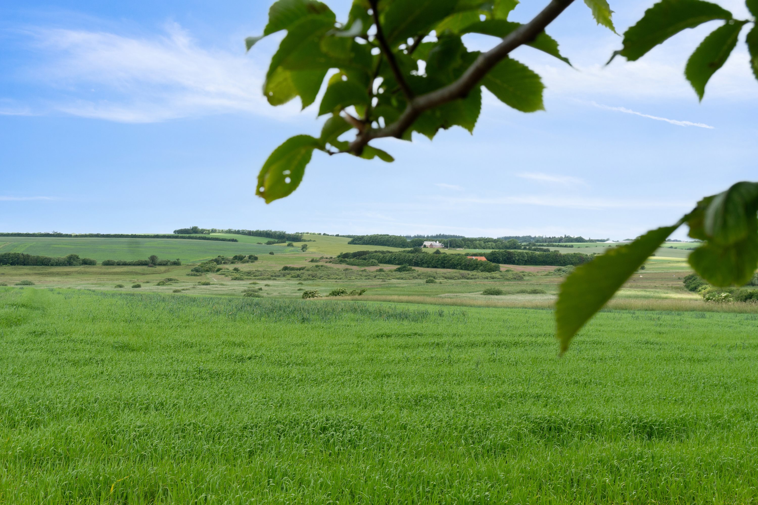 Fremhævet udsigt billede i fuldskærmstilstand. Billede af Oddesundvej 264, Kjæstrup, 7760 Hurup Thy