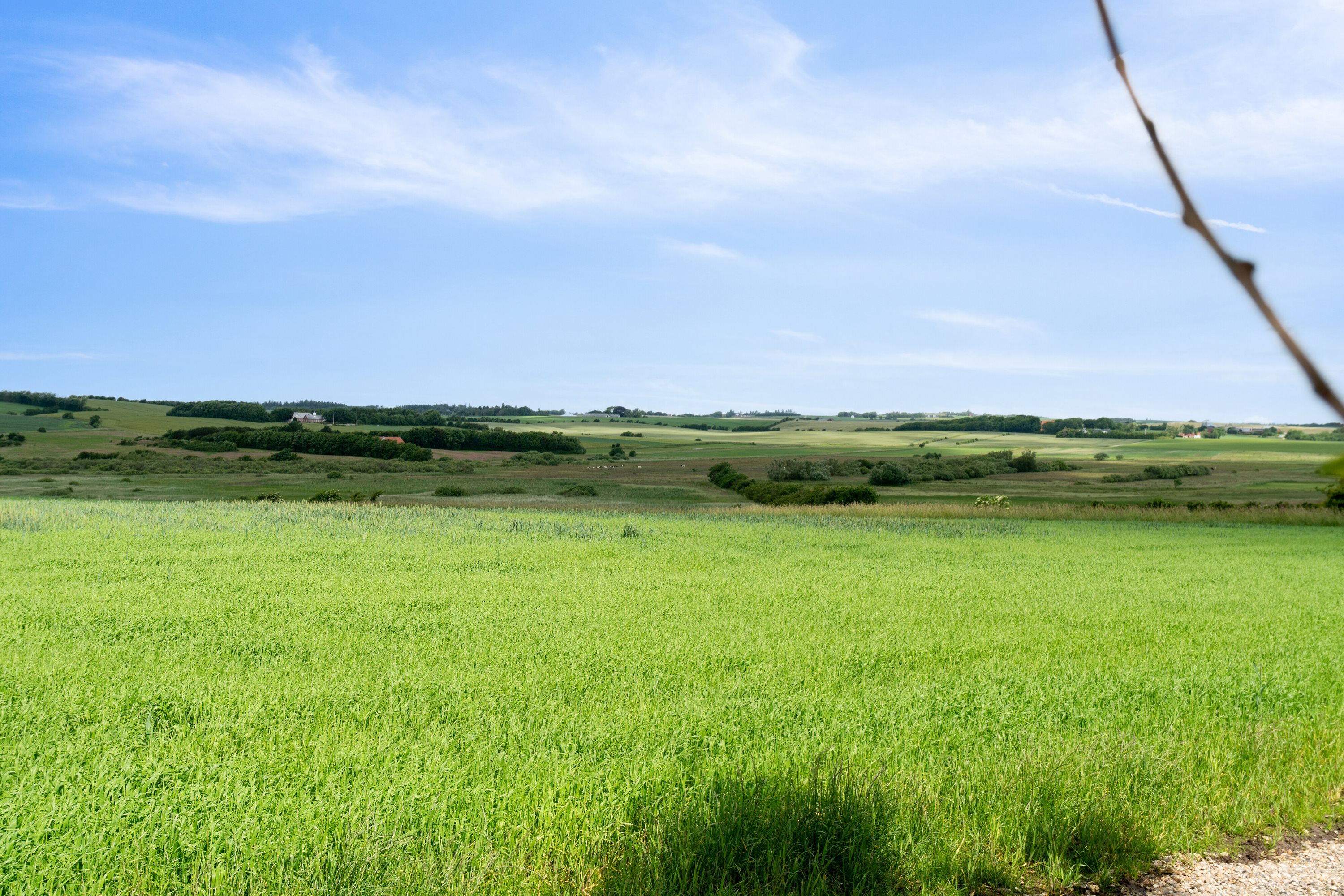 Fremhævet udsigt billede i fuldskærmstilstand. Billede af Oddesundvej 264, Kjæstrup, 7760 Hurup Thy