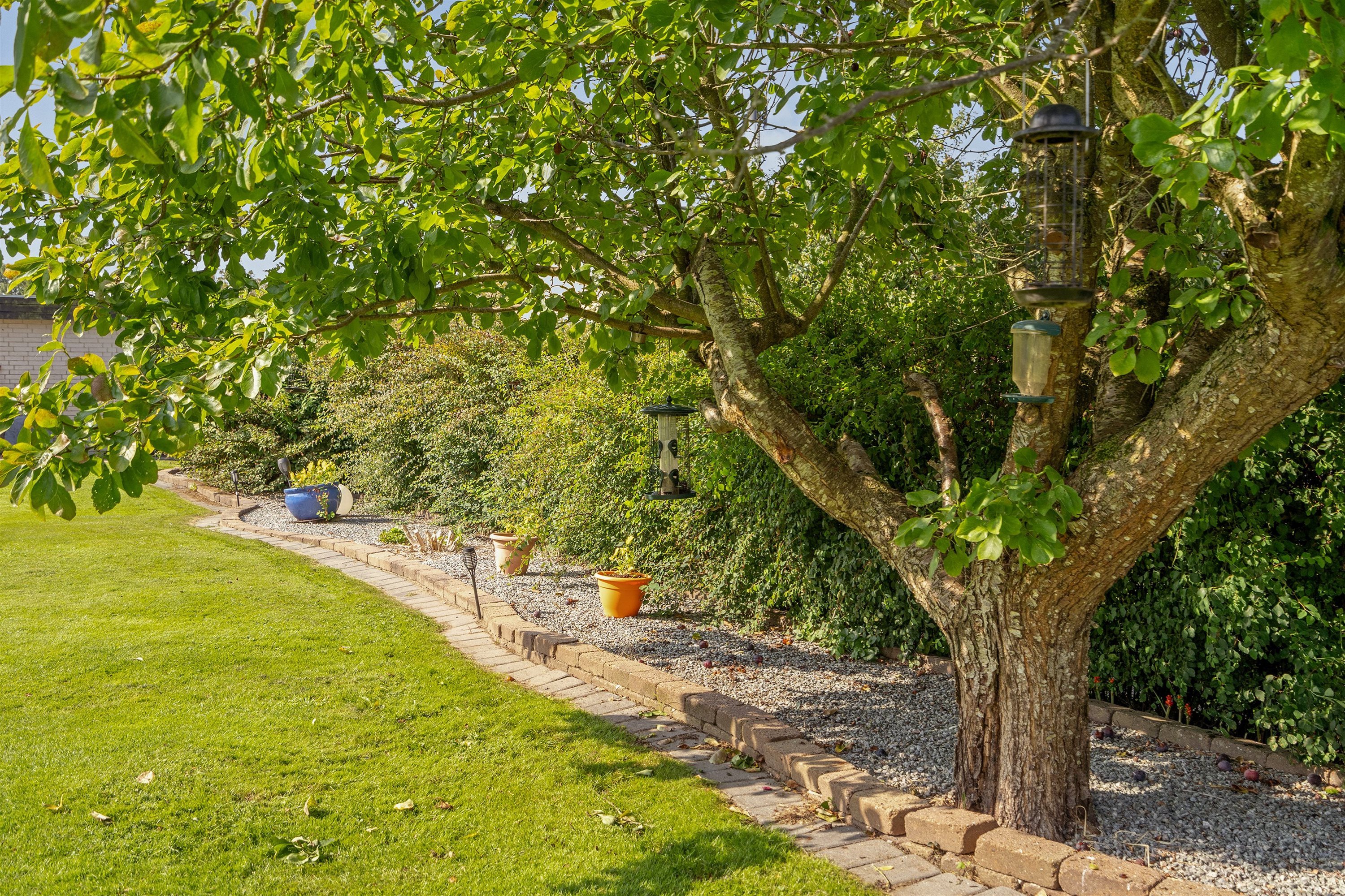 Fremhævet  billede i fuldskærmstilstand. Billede af Elmevej 5, 6862 Tistrup