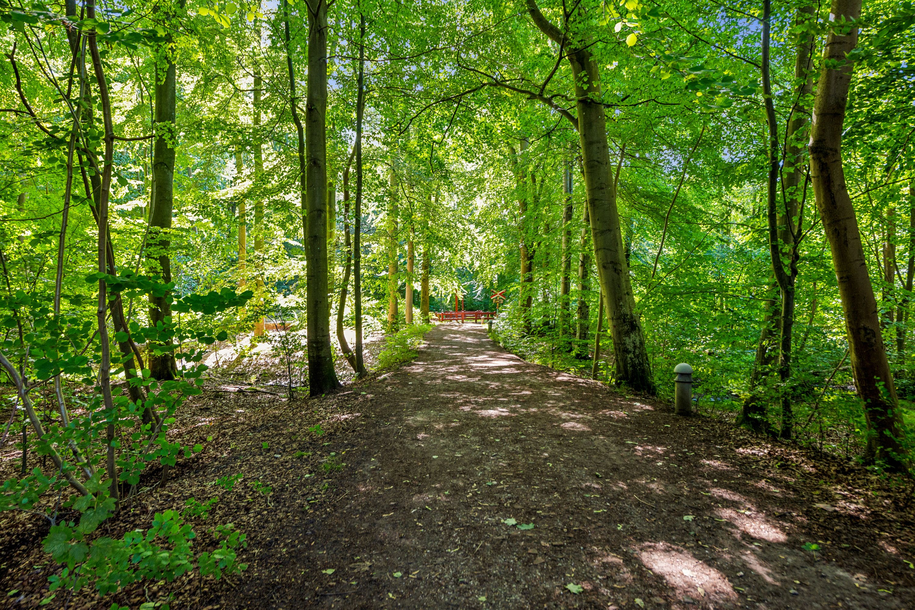 Fremhævet have billede i fuldskærmstilstand. Billede af Hammermøllevej 17A, 3150 Hellebæk