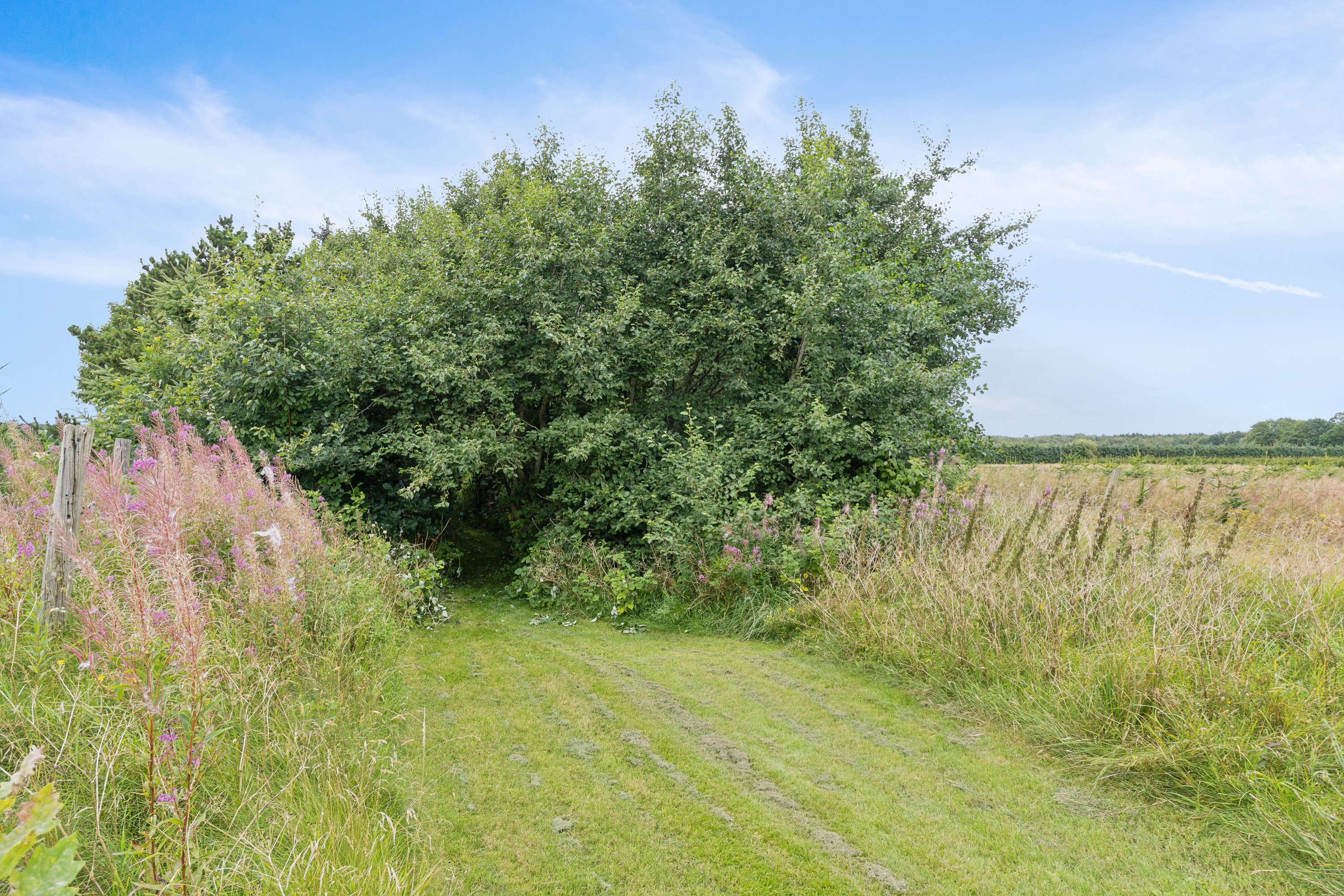 Fremhævet have billede i fuldskærmstilstand. Billede af Ringkøbingvej 23B, 7441 Bording