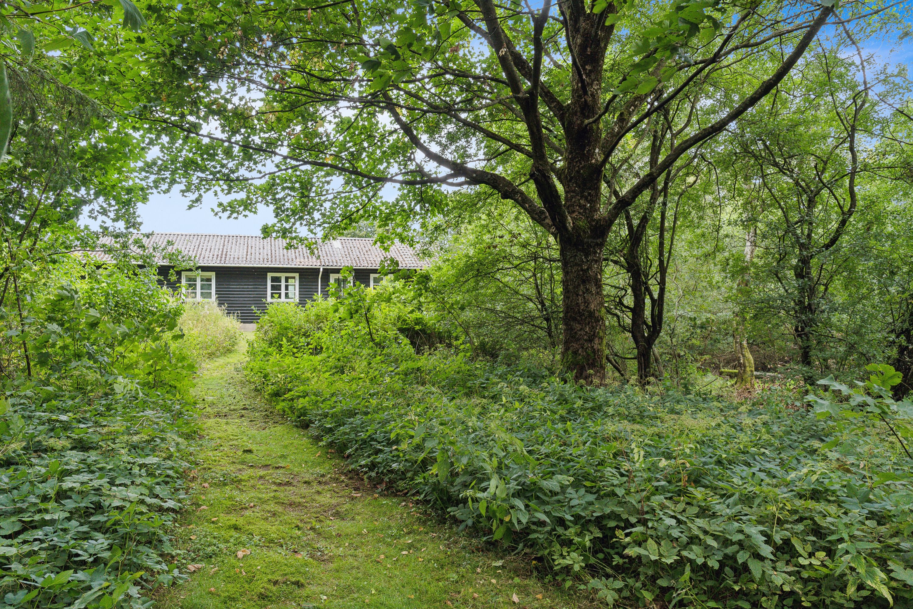 Fremhævet have billede i fuldskærmstilstand. Billede af Ringkøbingvej 23B, 7441 Bording