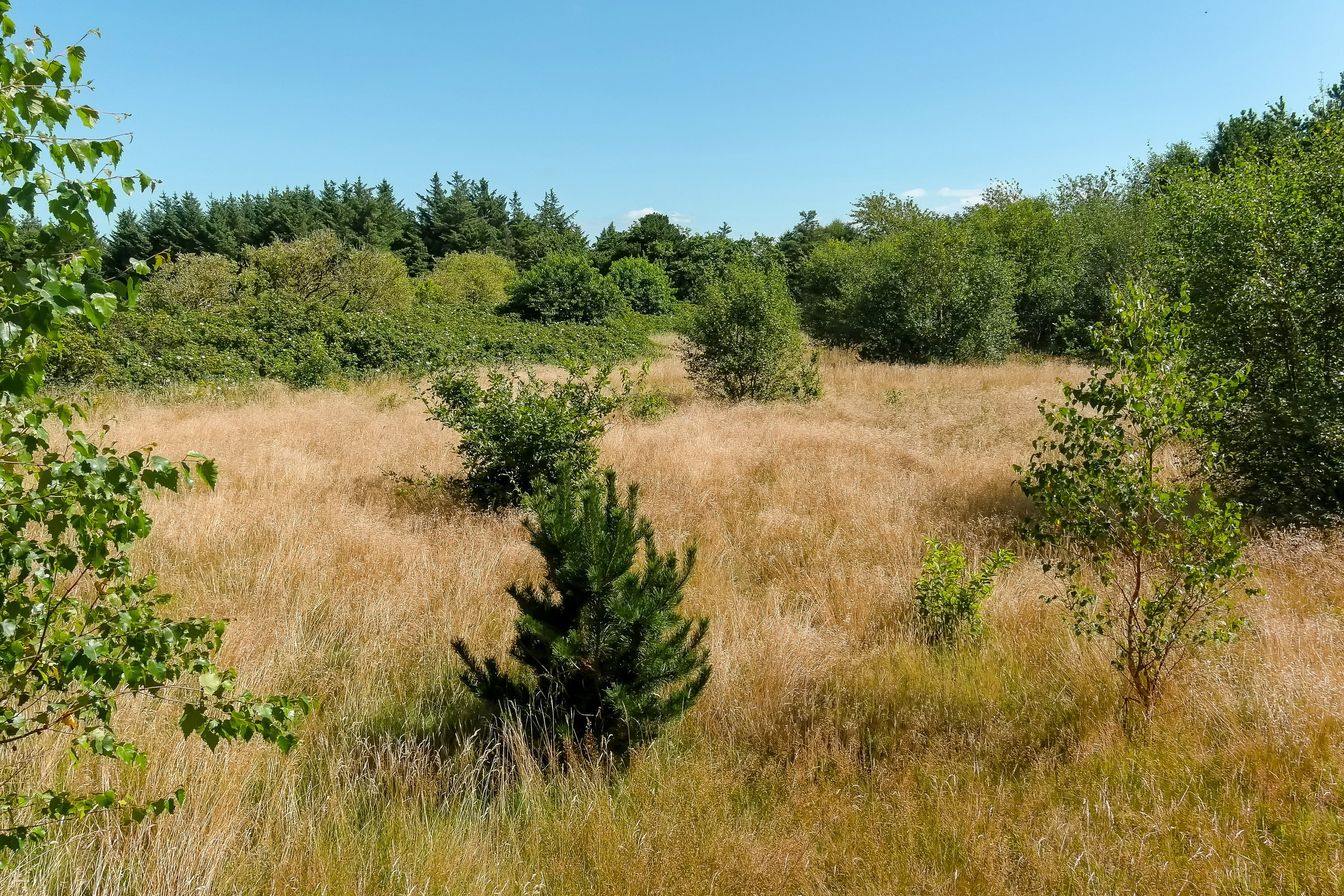 Miniaturebillede 2: andet. Billede af Bækbyvej 85, Husby, 6990 Ulfborg