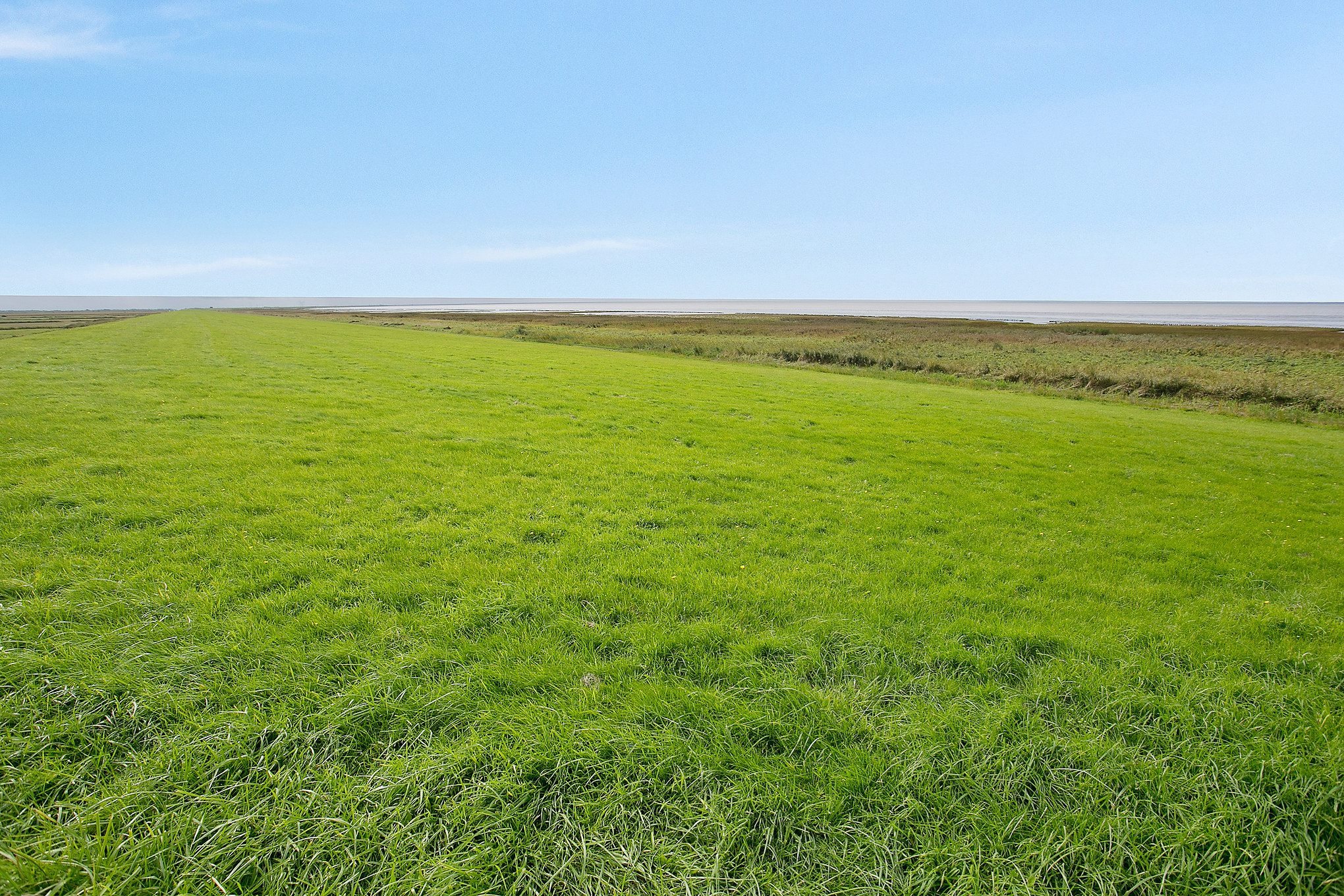 Fremhævet  billede i fuldskærmstilstand. Billede af Emmerlev Klev 6, 6280 Højer