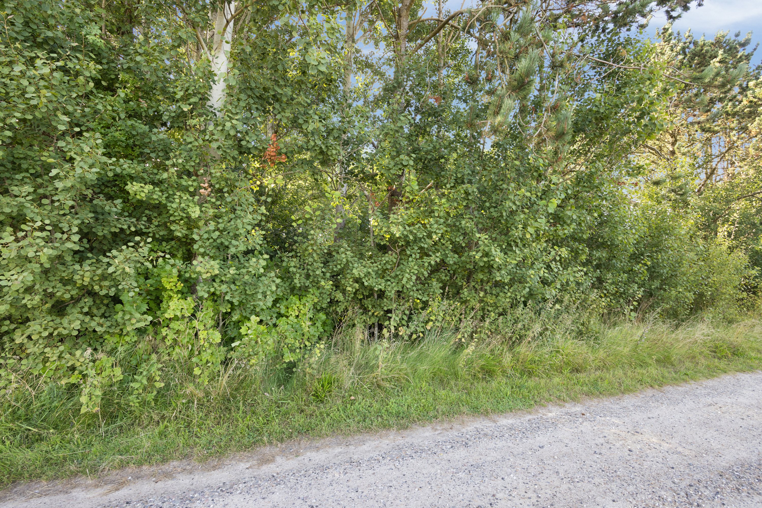 Fremhævet område billede i fuldskærmstilstand. Billede af Vagtelvej 38, Hou, 9370 Hals