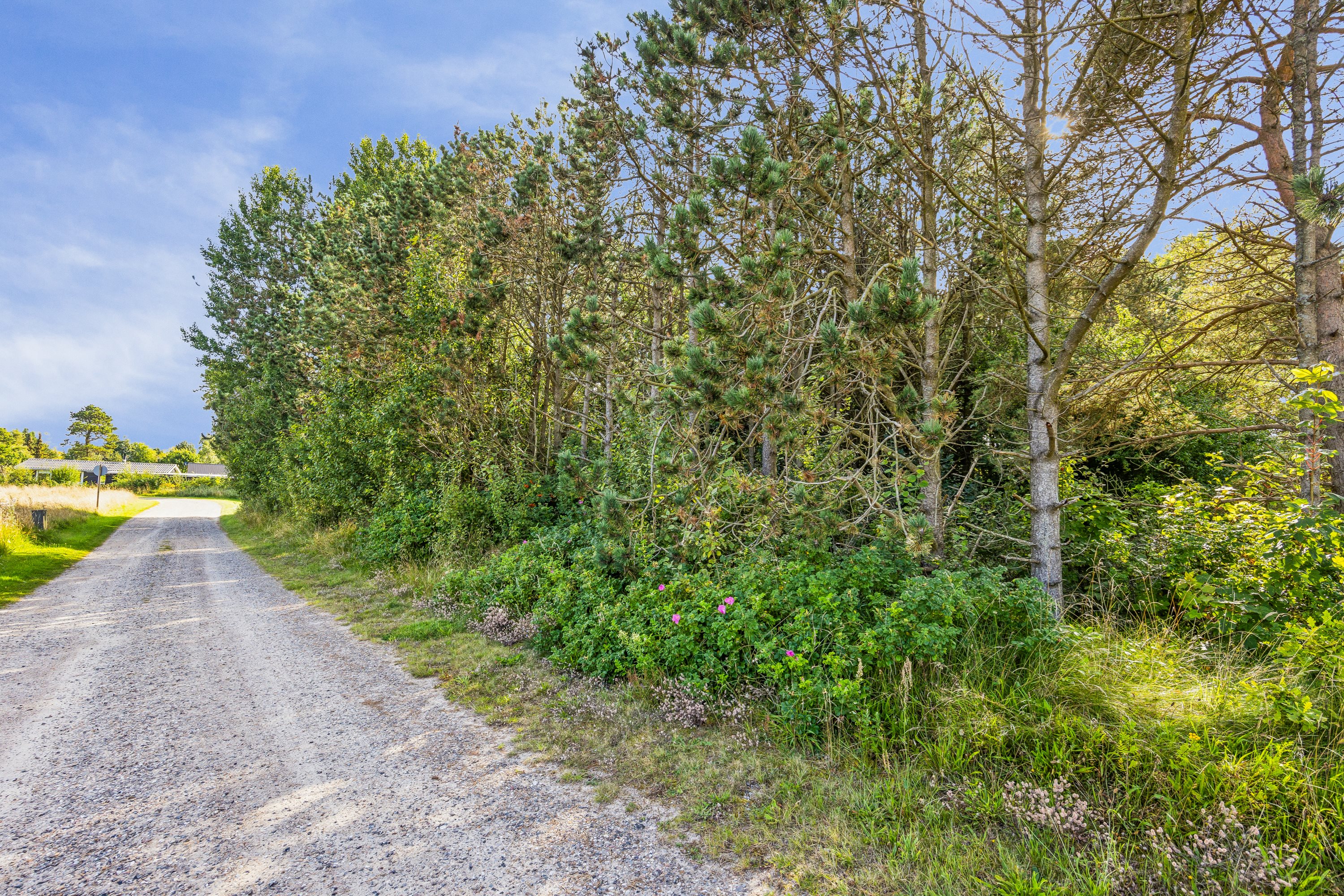 Fremhævet omgivelser billede i fuldskærmstilstand. Billede af Vagtelvej 38, Hou, 9370 Hals