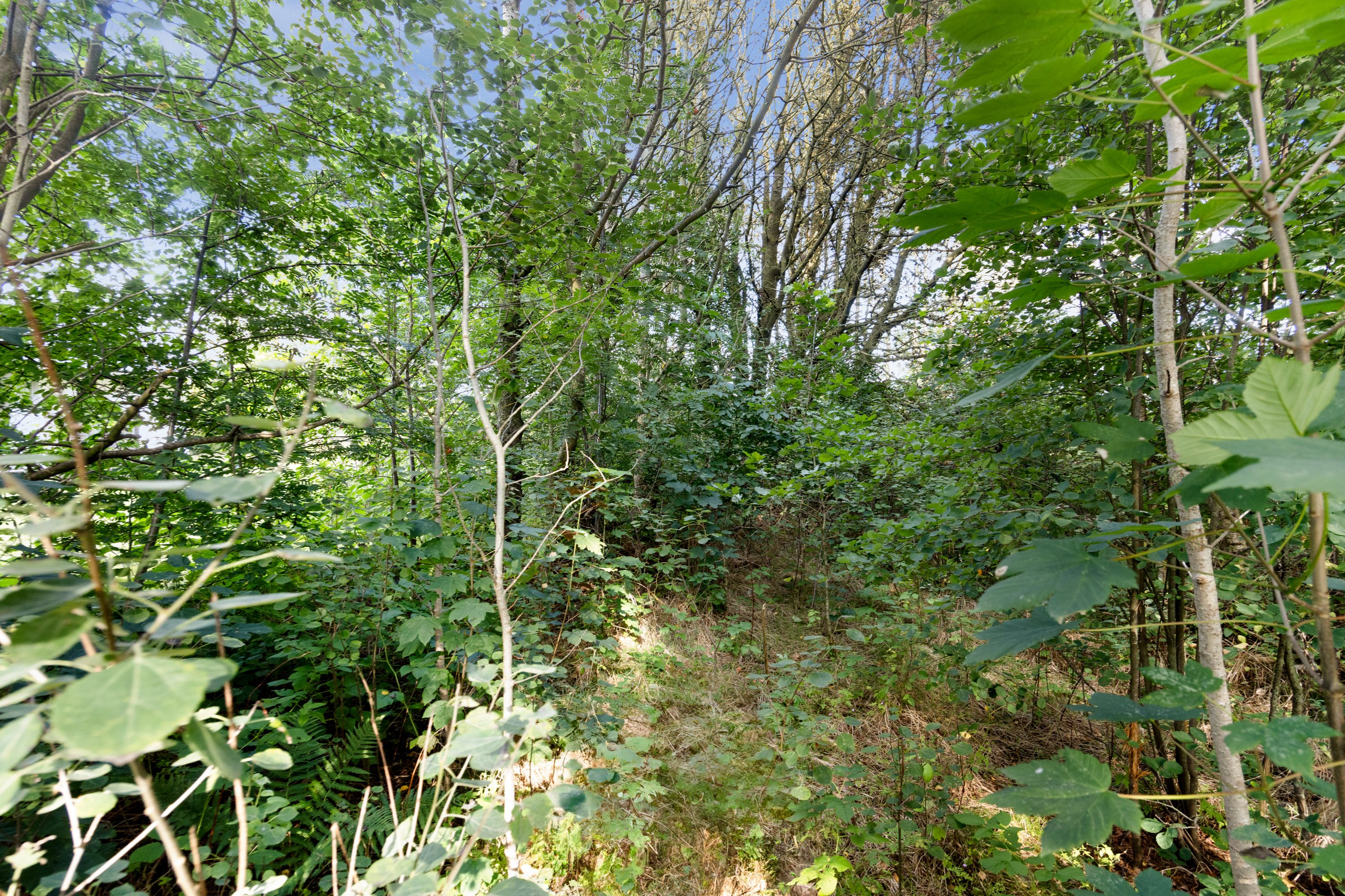 Fremhævet omgivelser billede i fuldskærmstilstand. Billede af Vagtelvej 38, Hou, 9370 Hals