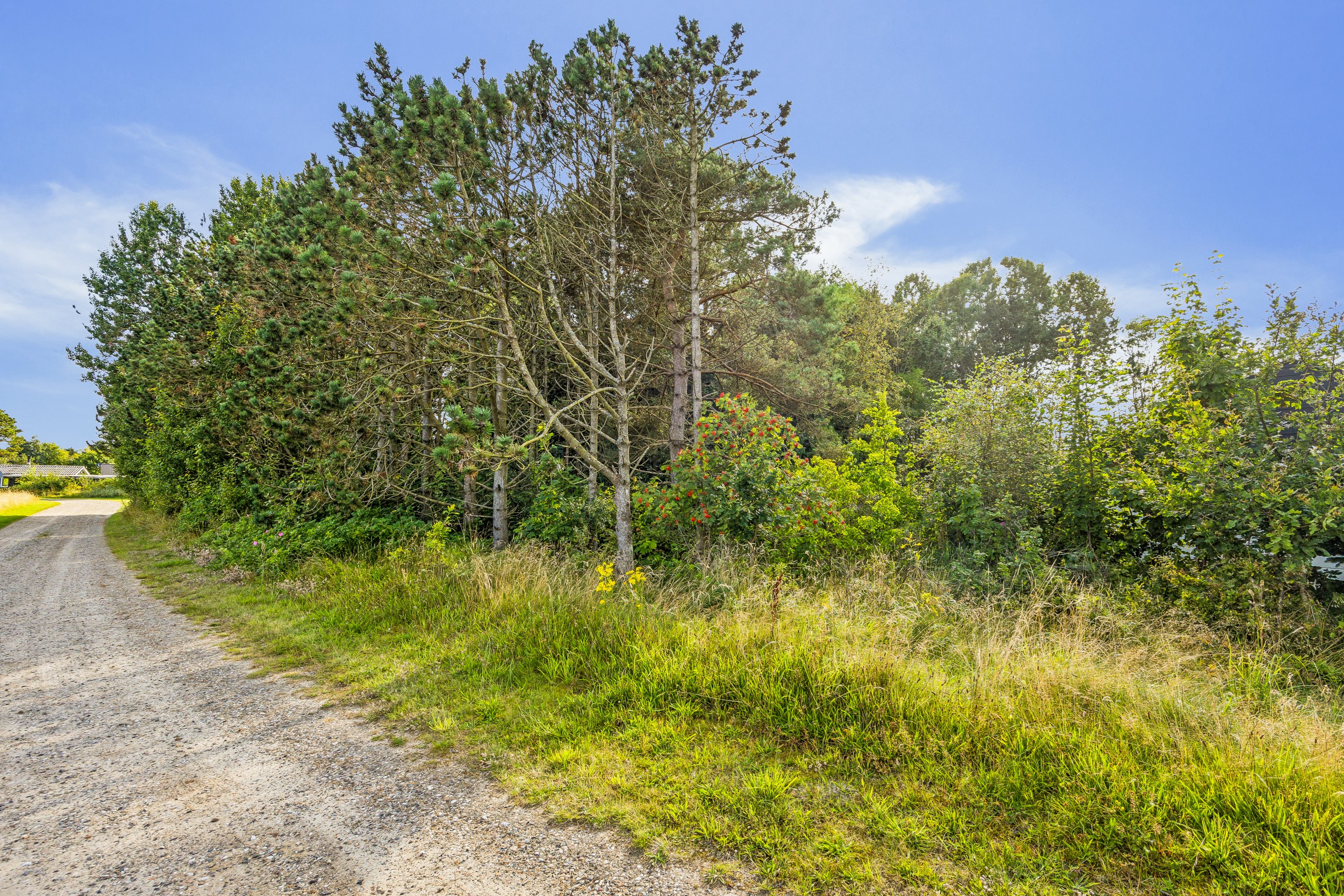 Miniaturebillede 1: vej. Billede af Vagtelvej 38, Hou, 9370 Hals