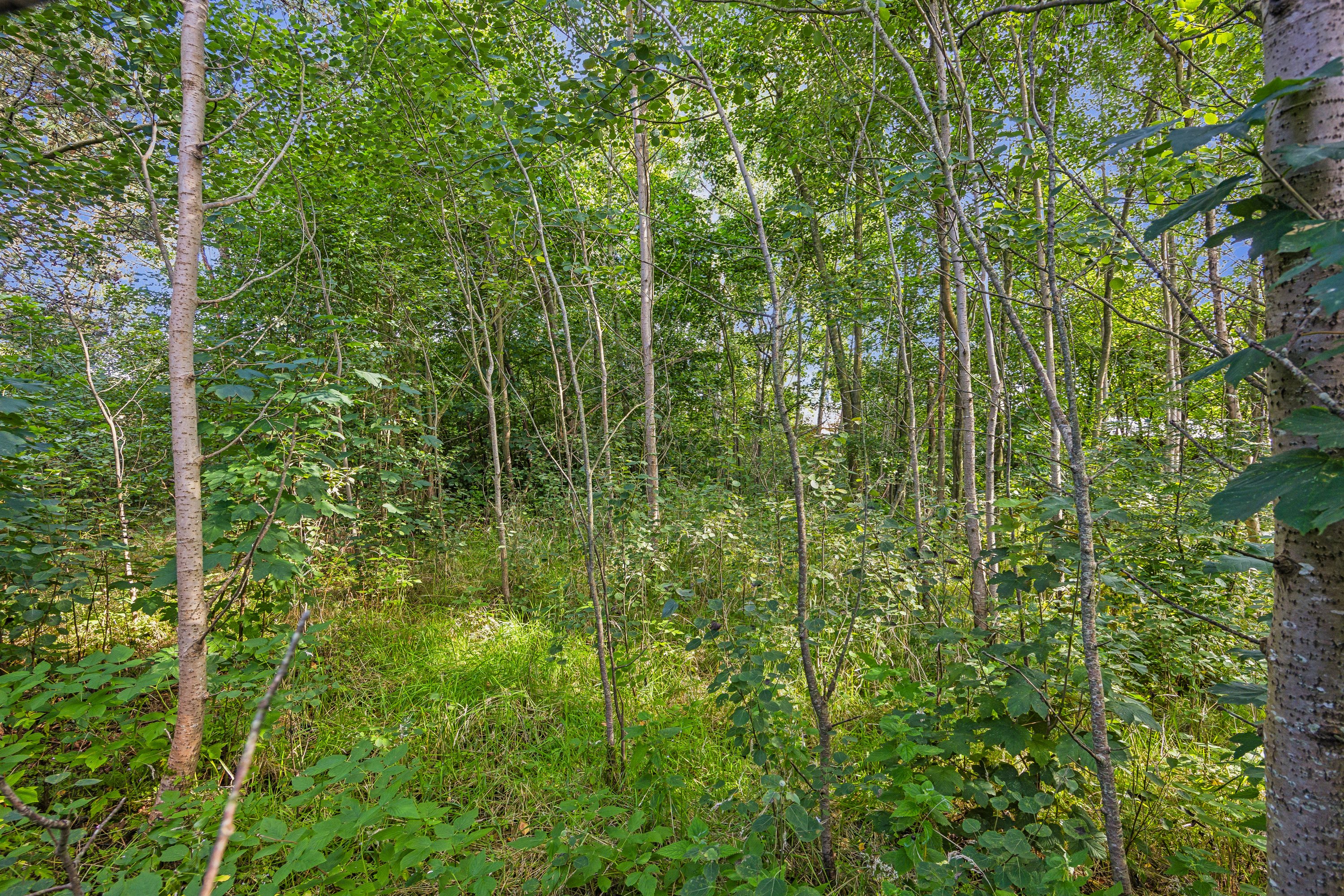 Fremhævet grund billede i fuldskærmstilstand. Billede af Vagtelvej 38, Hou, 9370 Hals