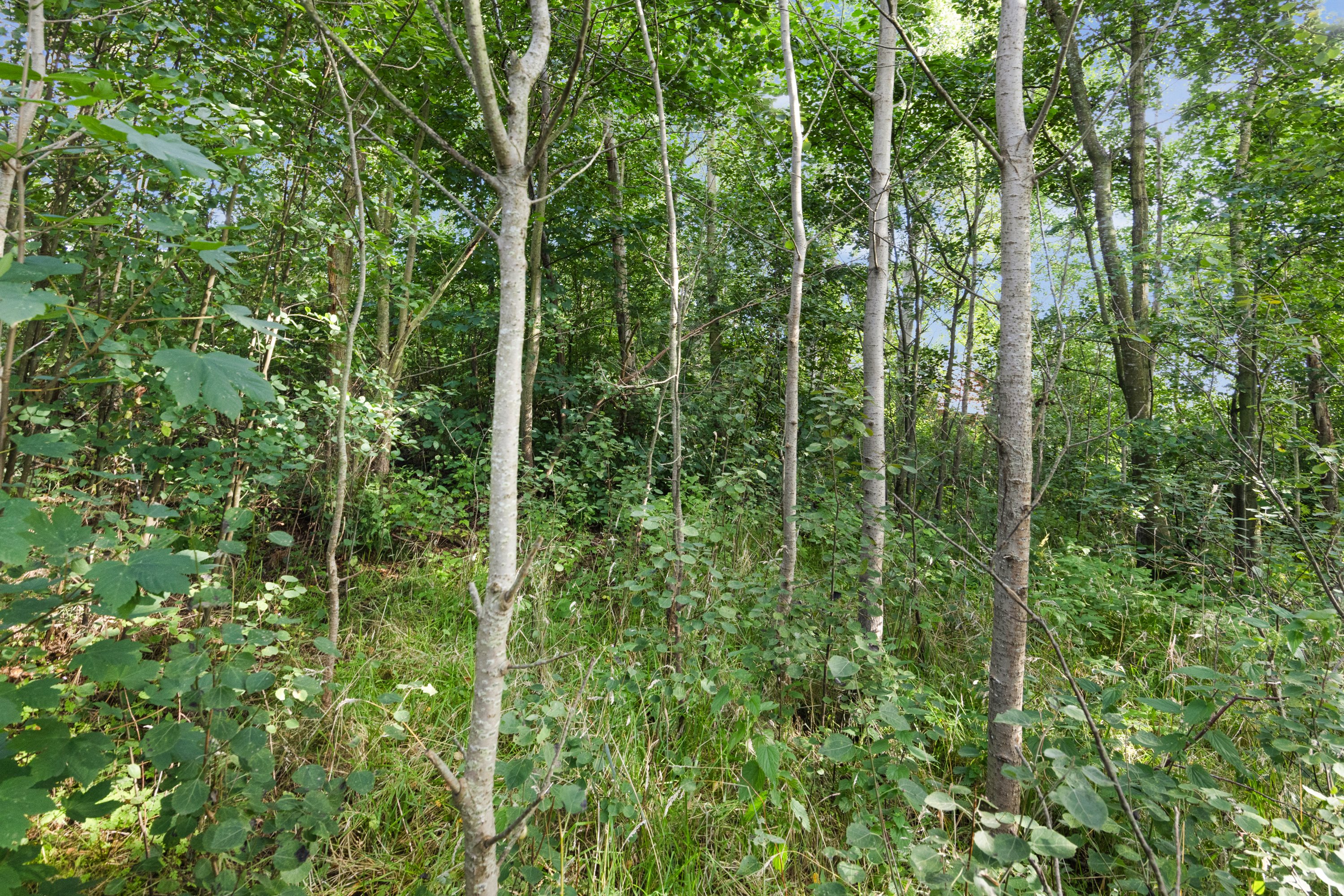 Fremhævet grund billede i fuldskærmstilstand. Billede af Vagtelvej 38, Hou, 9370 Hals