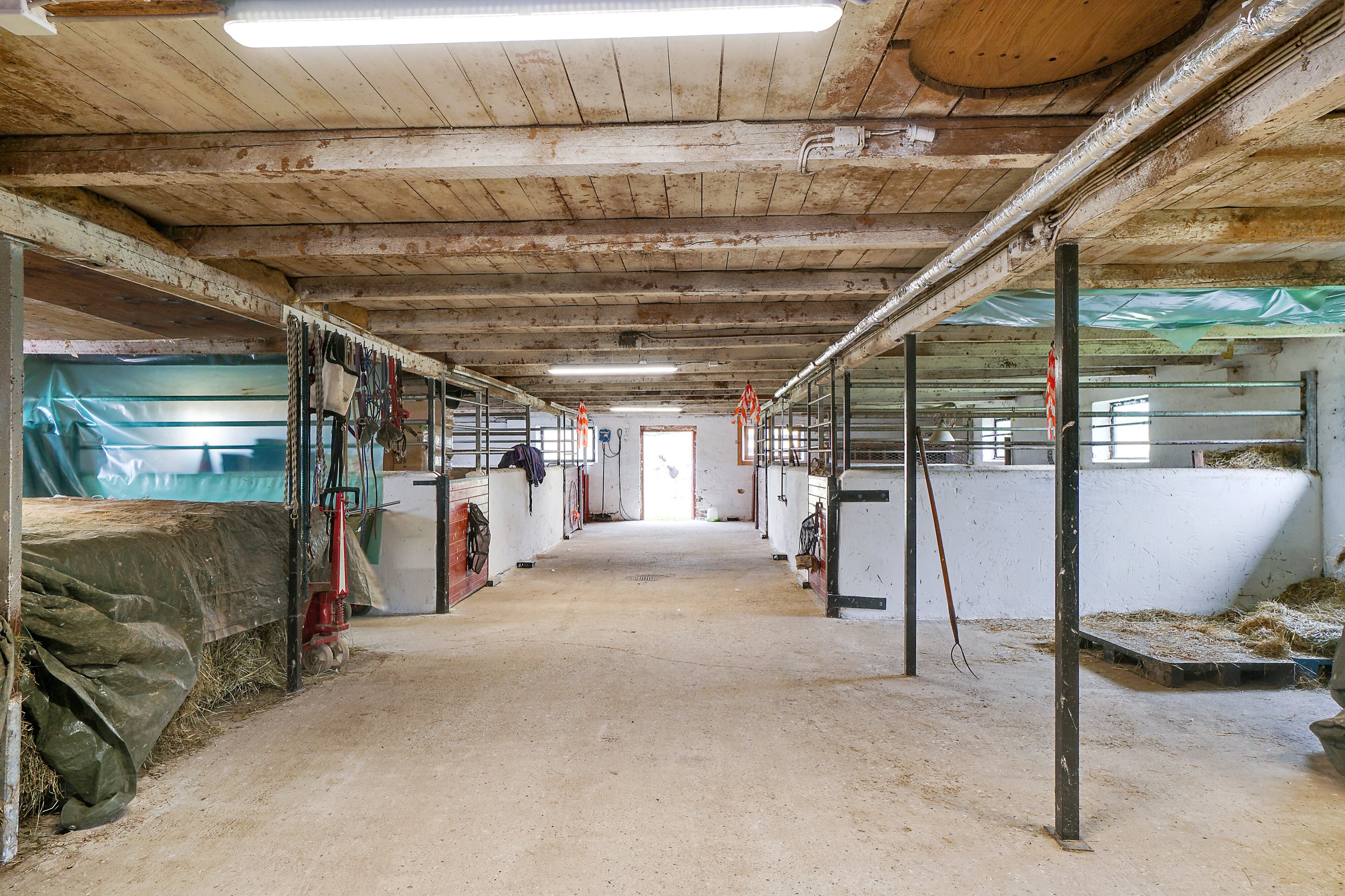 Fremhævet stald billede i fuldskærmstilstand. Billede af Elledevej 44, 4400 Kalundborg