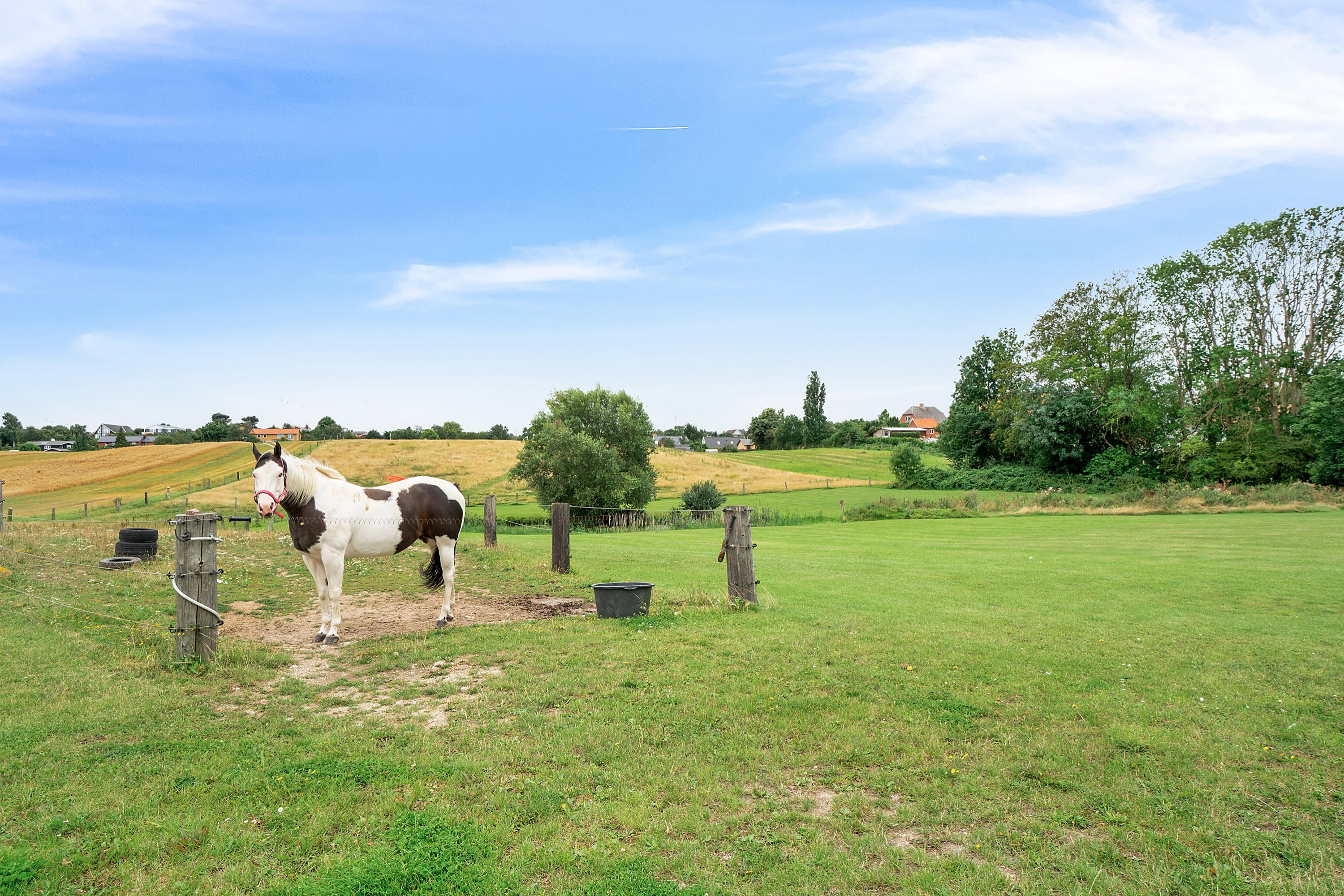 Fremhævet udendørs billede i fuldskærmstilstand. Billede af Elledevej 44, 4400 Kalundborg
