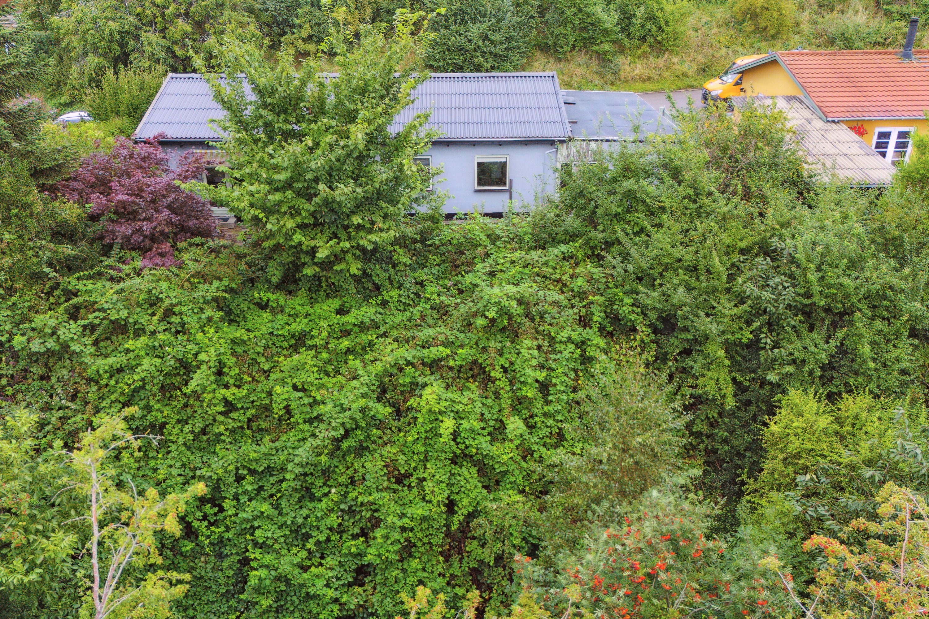 Fremhævet set fra haven billede i fuldskærmstilstand. Billede af Bakkevej 4, Egebjerg, 4500 Nykøbing Sj