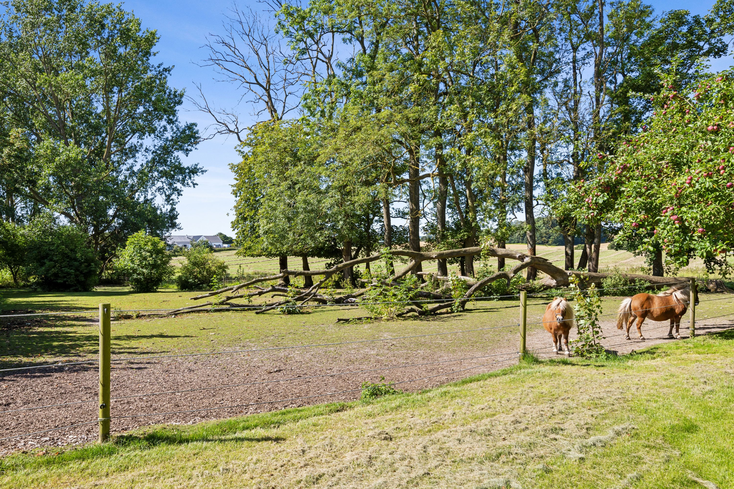 Fremhævet omgivelser billede i fuldskærmstilstand. Billede af Hågerupvej 43, Hågerup, 5600 Faaborg